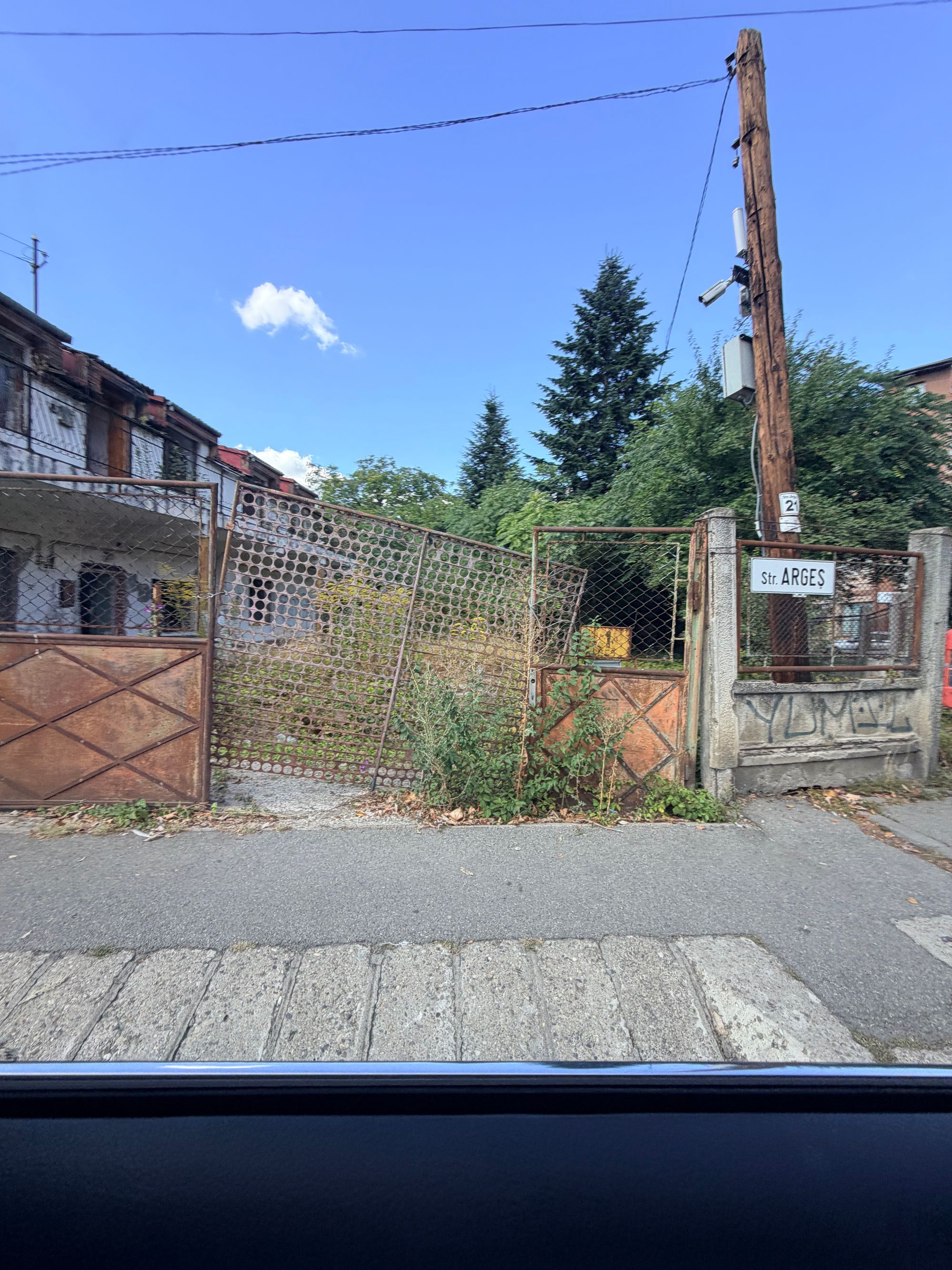 Ambrozie in Strada Argeș 21, Cluj-Napoca, Municipiu Cluj-Napoca, Județul Cluj