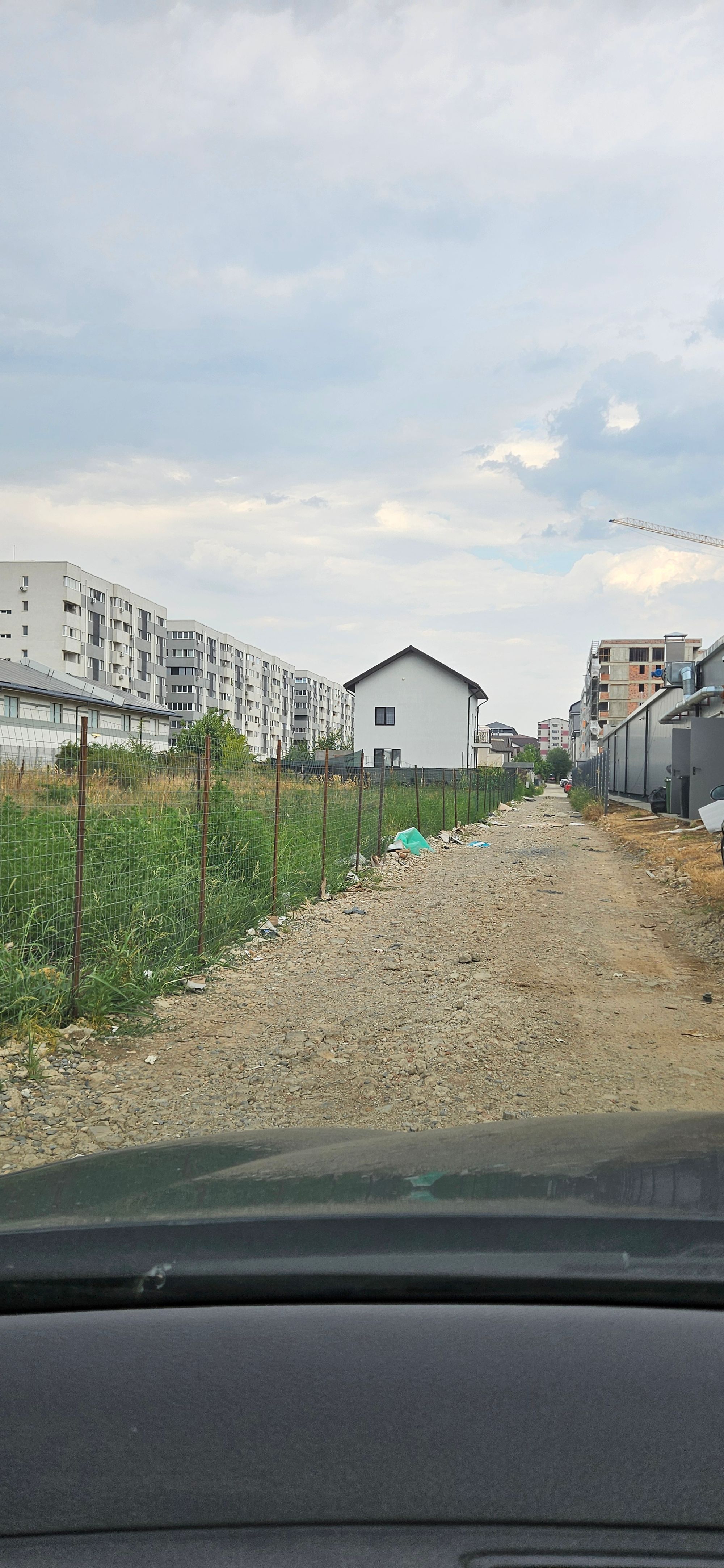 Ambrozie in Strada Sergent Ilie Petre 84, Comuna Chiajna, Județul Ilfov - 20250725_171402.jpg