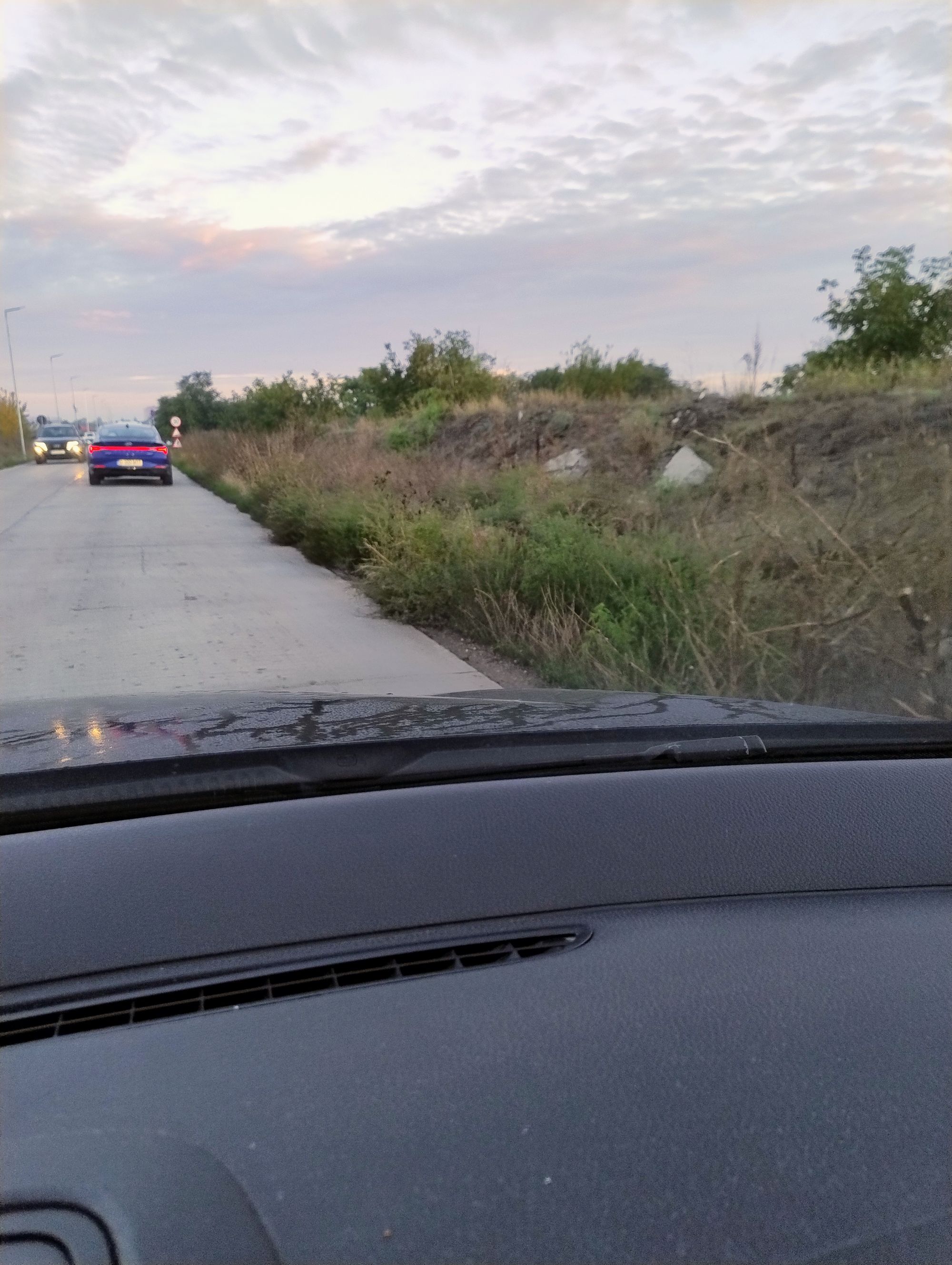 Ambrozie in Strada Ametistului 20f, Bragadiru, Oraş Bragadiru, Județul Ilfov