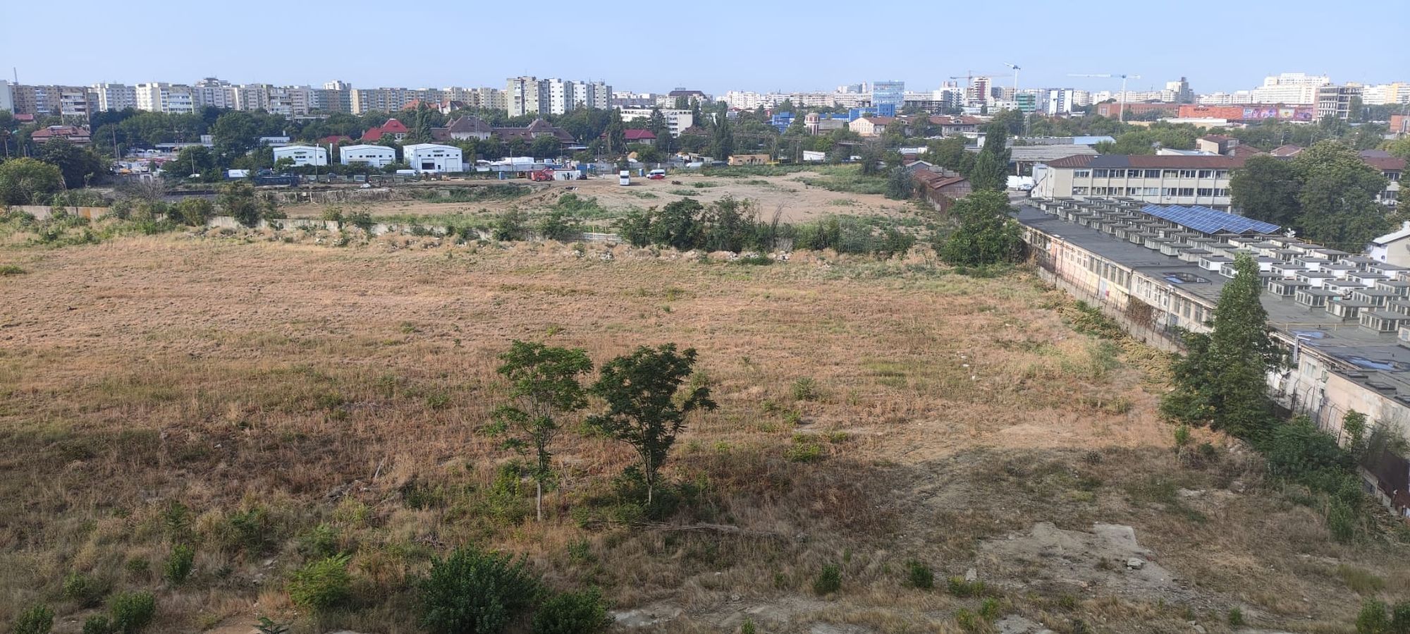 Ambrozie in Strada Dumitru Slugeru, București, Municipiul București - 1000342140.jpg