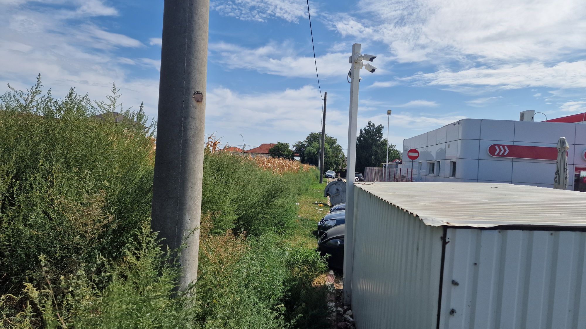 Ambrozie in Tecuci, Municipiu Tecuci, Județul Galați