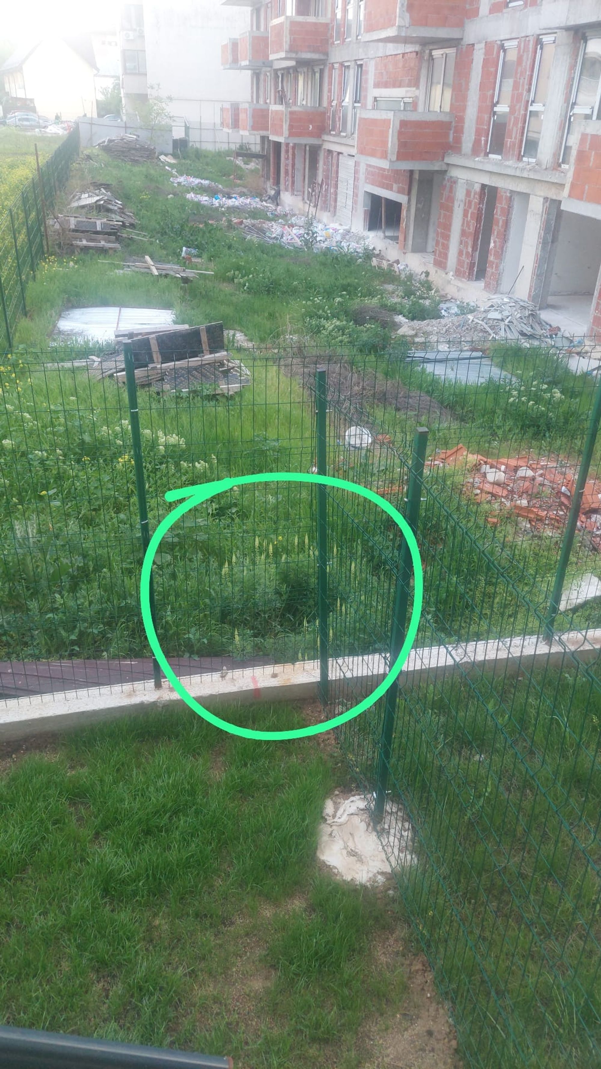 Ambrozie in Strada Poștașului 35, București, Municipiul București - 1 (2).jpeg