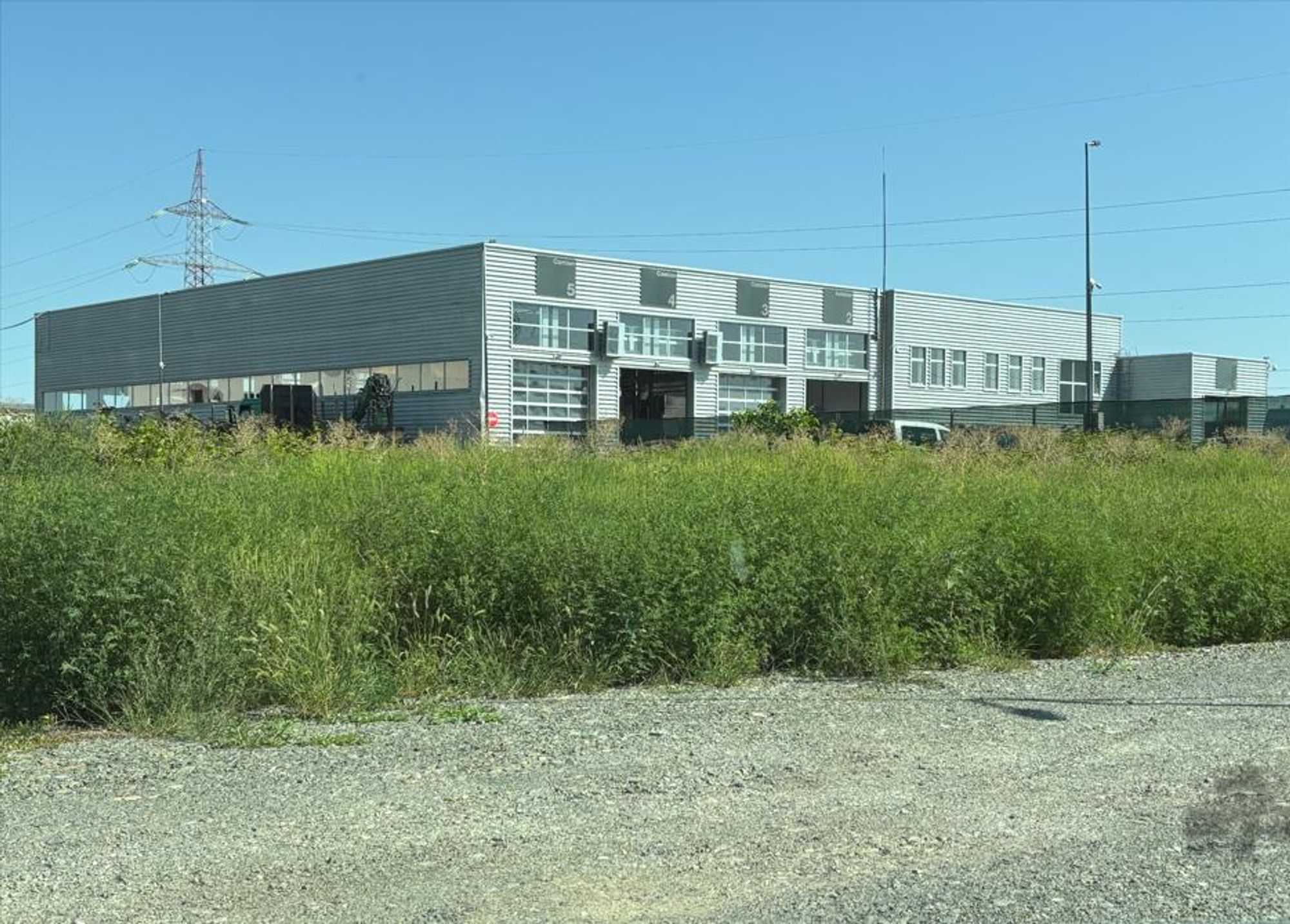 Ambrozie in Calea Lugojului 74, Ghiroda, Comuna Ghiroda, Județul Timiș - ambrozie2.JPG