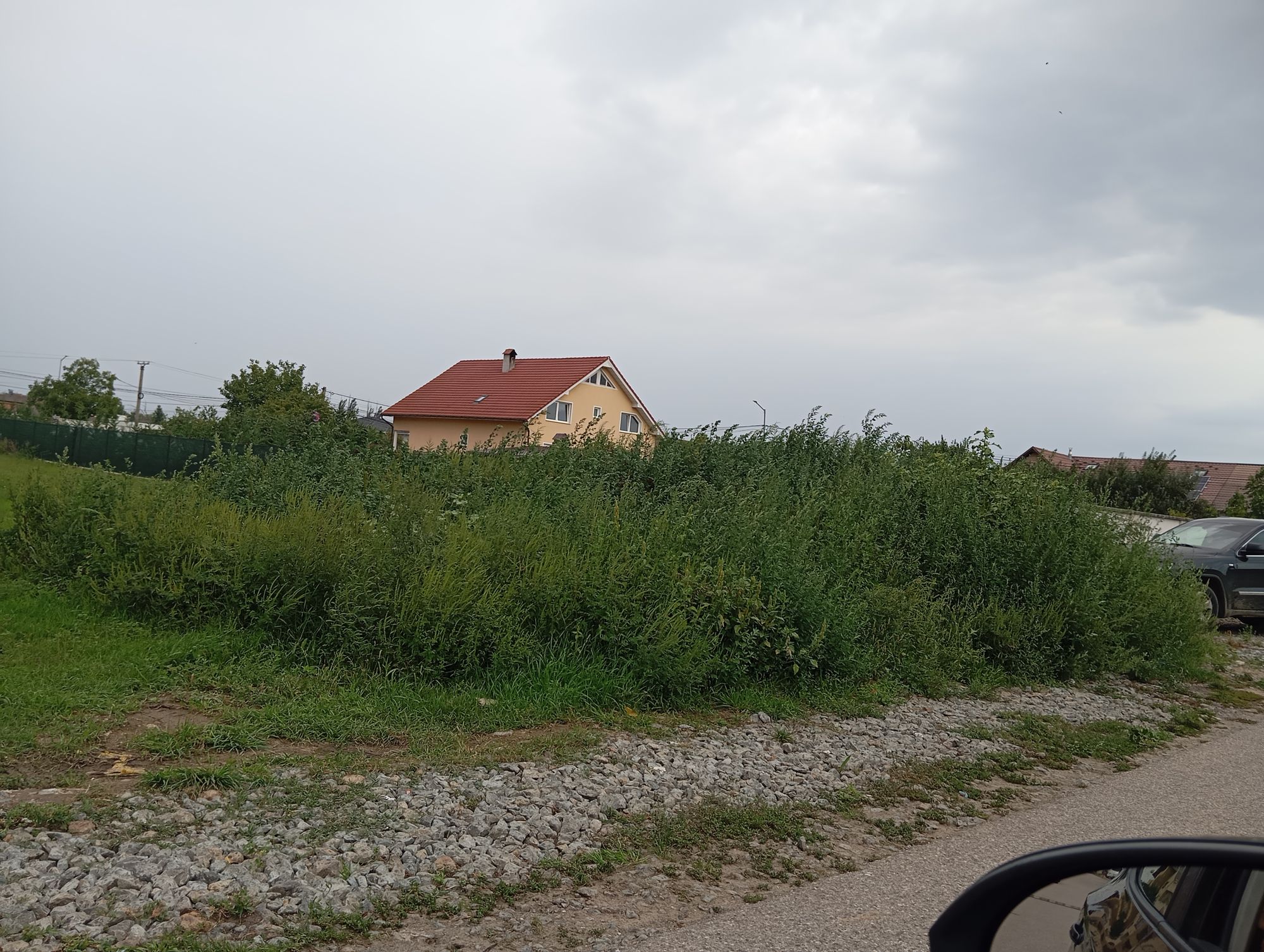 Ambrozie in Salane 2, Sebeș, Municipiu Sebeş, Județul Alba - inbound7889644560394976640.jpg