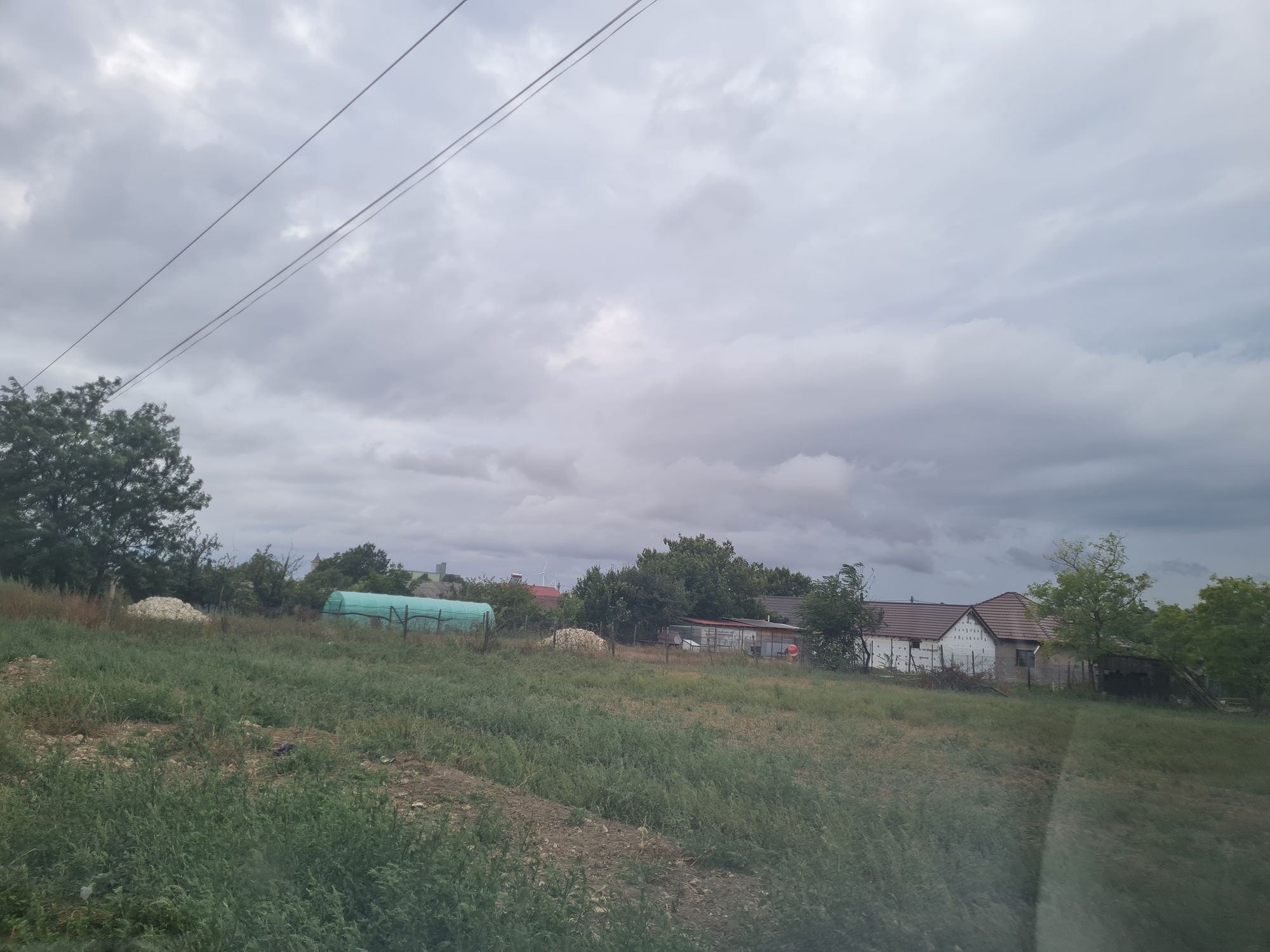 Ambrozie in DJ225 15, Nicolae Bălcescu, Comuna Nicolae Bălcescu, Județul Constanța