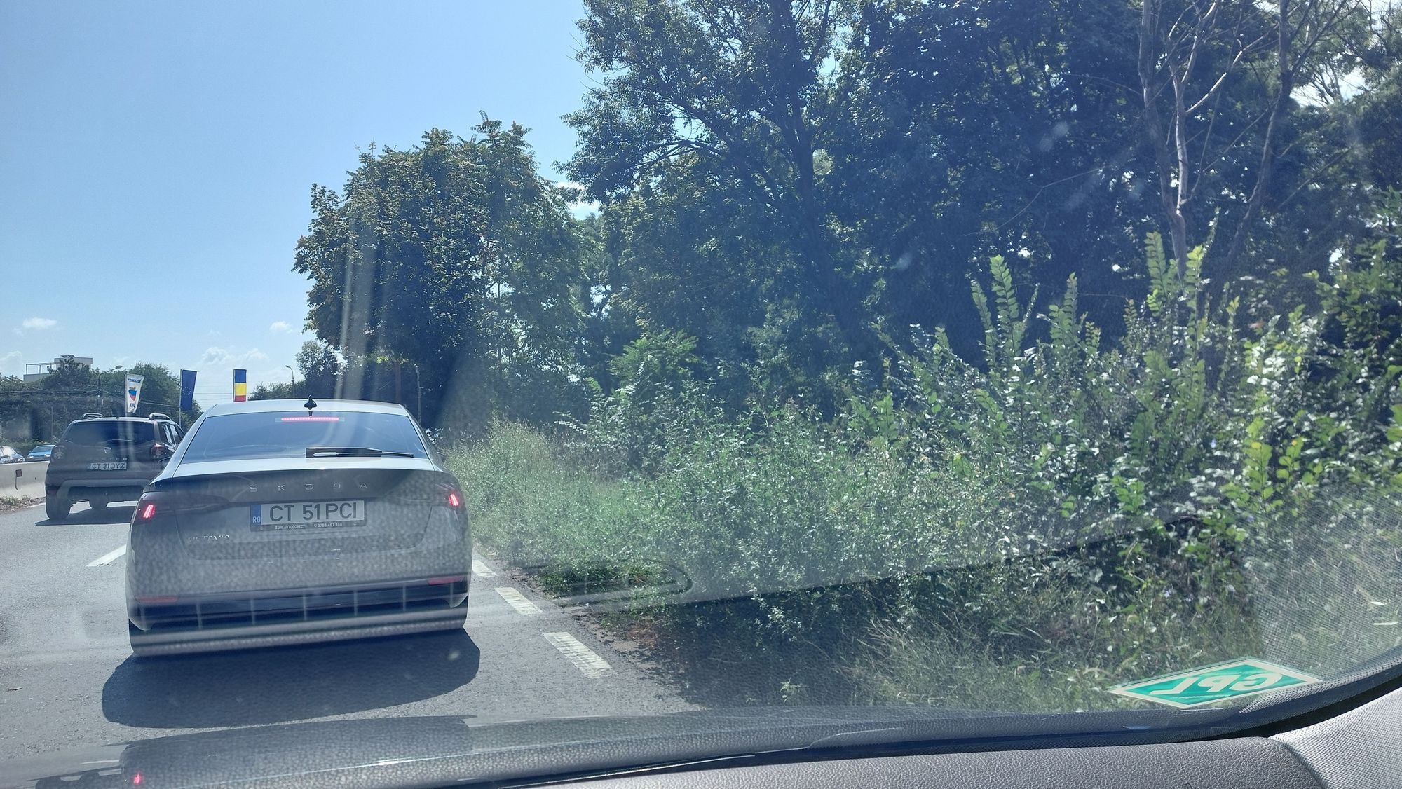 Ambrozie in Bulevardul Republicii 1, Eforie Nord, Oraș Eforie, Județul Constanța