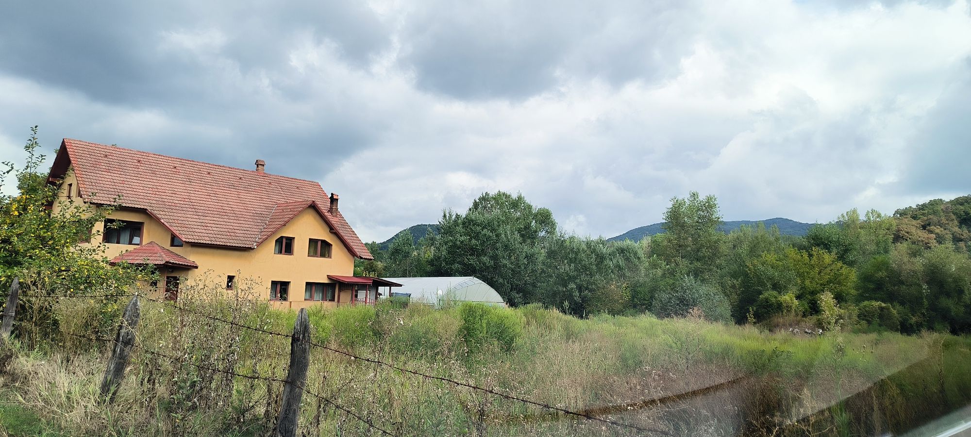 Ambrozie in Strada Arinilor 1, Poenari, Municipiu Râmnicu Vâlcea, Județul Vâlcea - 1000218390.jpg