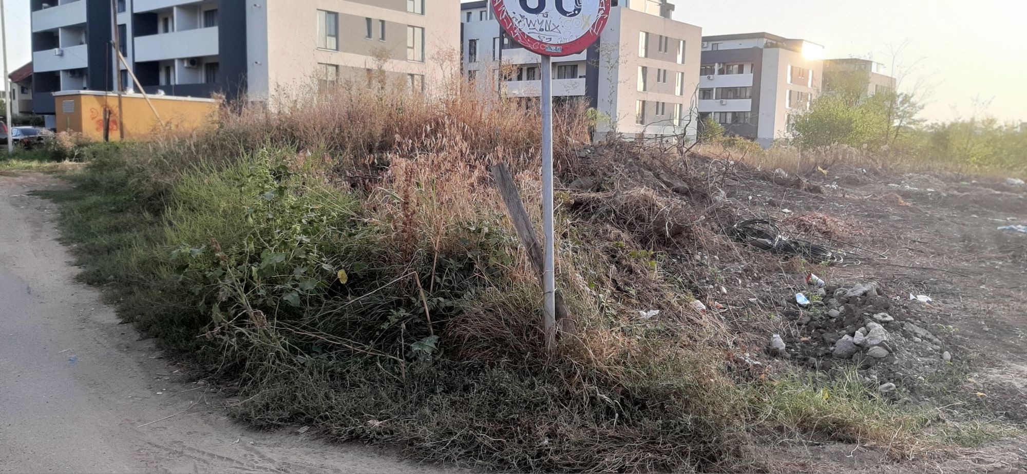 Ambrozie in Strada Verii 27, Bragadiru, Oraş Bragadiru, Județul Ilfov - 20230922_183746.jpg