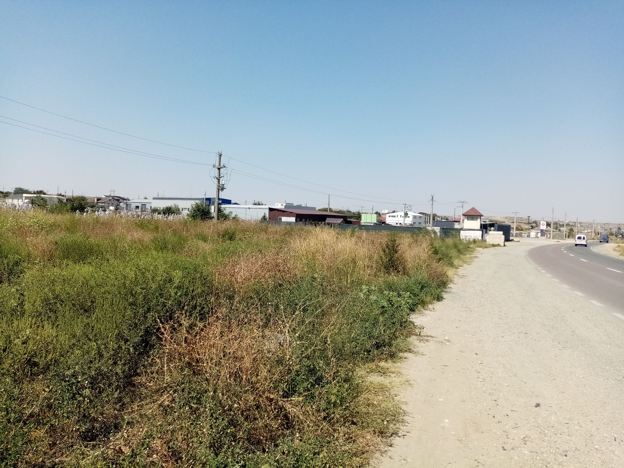 Ambrozie in Strada Portului 30, Ovidiu, Oraş Ovidiu, Județul Constanța - IMG_20230828_131538.jpg