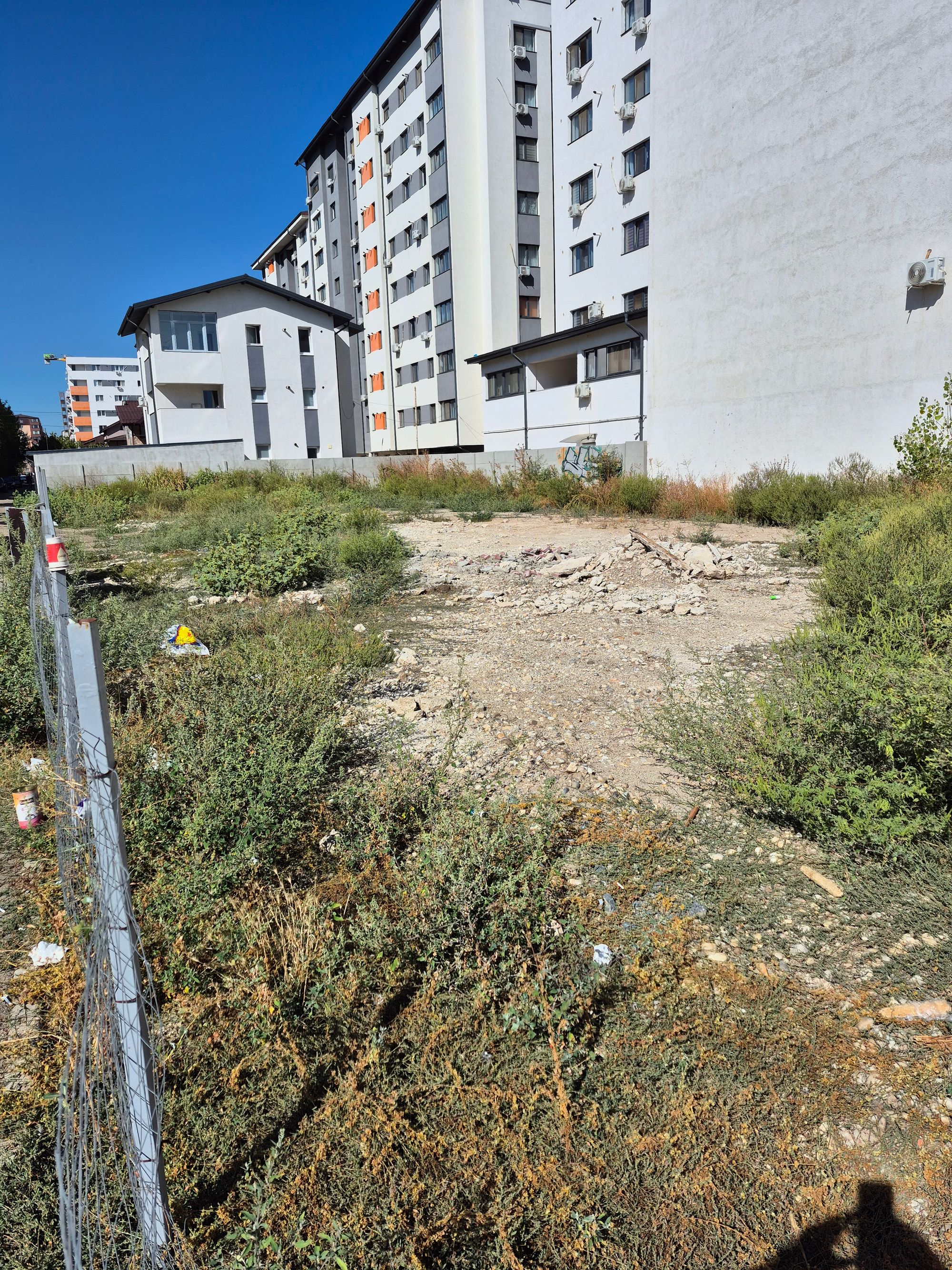 Ambrozie in Strada Tineretului 35a, Chiajna, Comuna Chiajna, Județul Ilfov - 20250916_111207.jpg