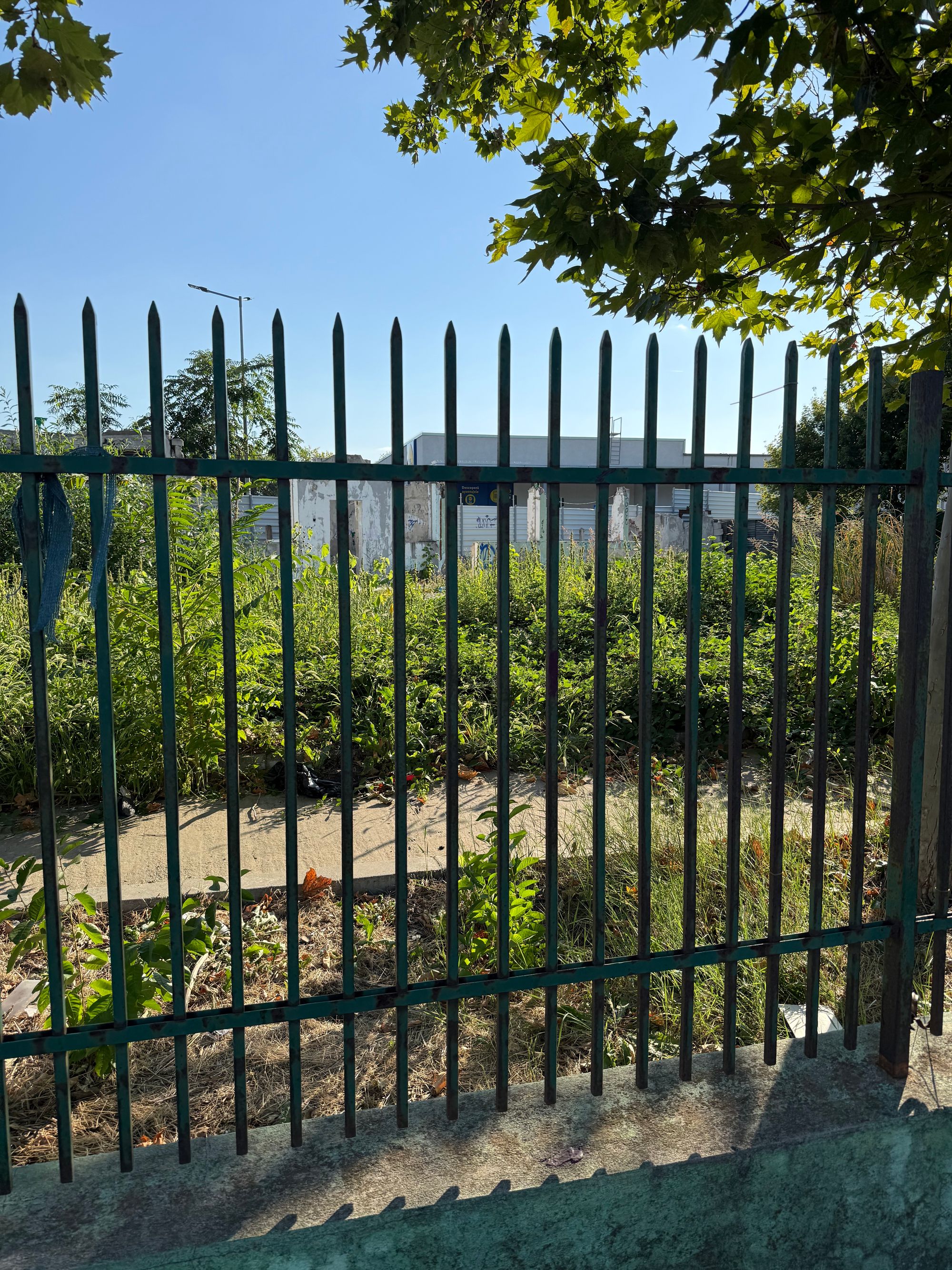 Ambrozie in Bulevardul Tudor Vladimirescu 39, București, Municipiul București