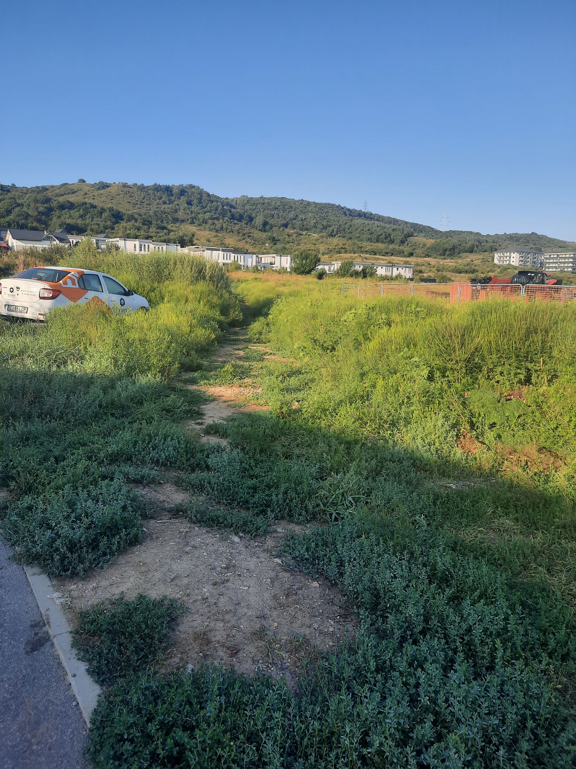 Ambrozie in Strada Urușagului 115, Florești, Comuna Florești, Județul Cluj - 20250820_081710.jpg