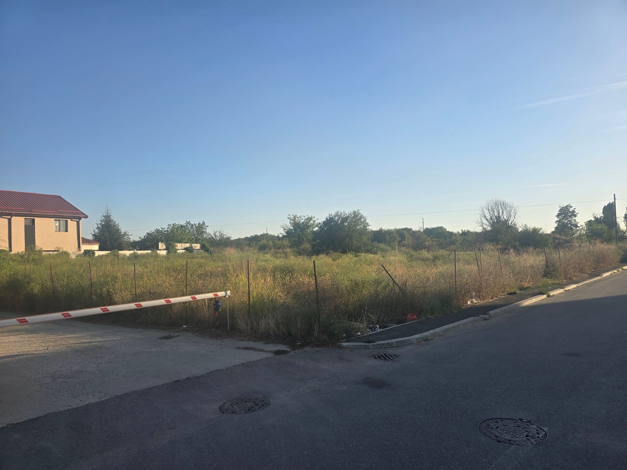 Ambrozie in Str. Râul Doamnei 15, Bragadiru, Oraș Bragadiru, Județul Ilfov - 20260909_182110.jpg