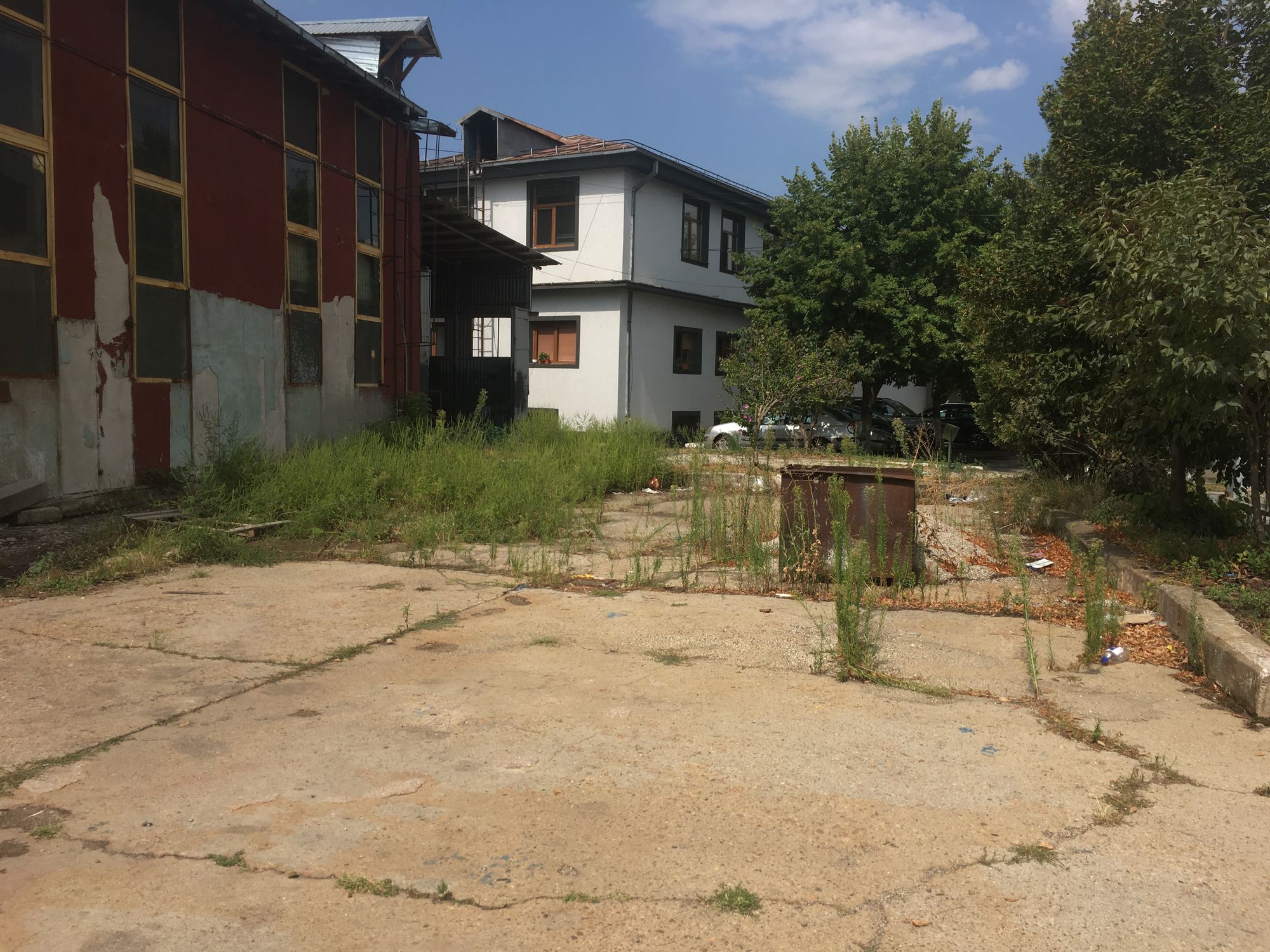 Ambrozie in Strada Sărarilor 31, Craiova, Municipiu Craiova, Județul Dolj - EFF60912-223B-41B8-AED1-9EFE9535C882.jpeg