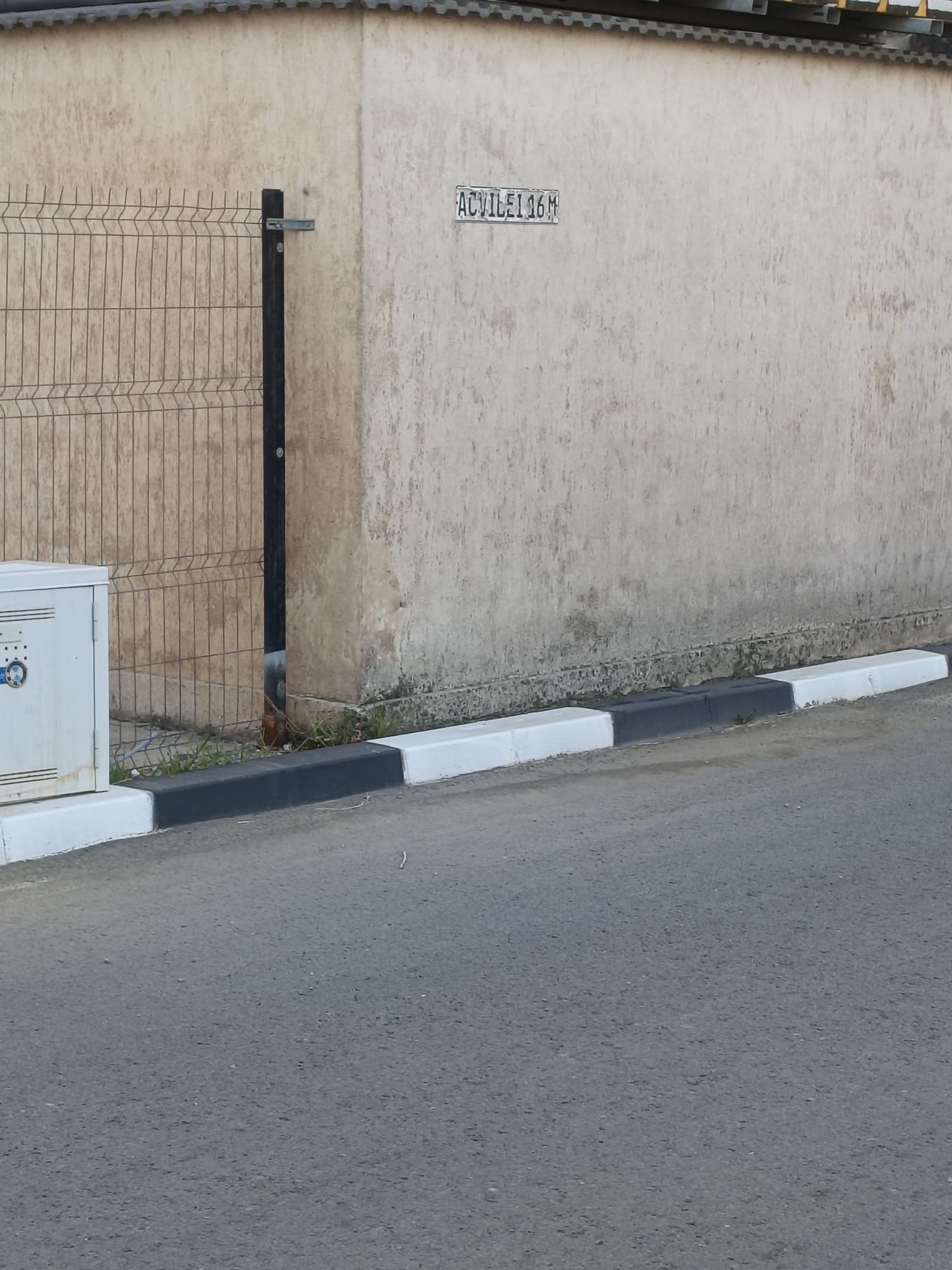 Ambrozie in Strada Acvilei 16M, Roșu, Comuna Chiajna, Județul Ilfov
