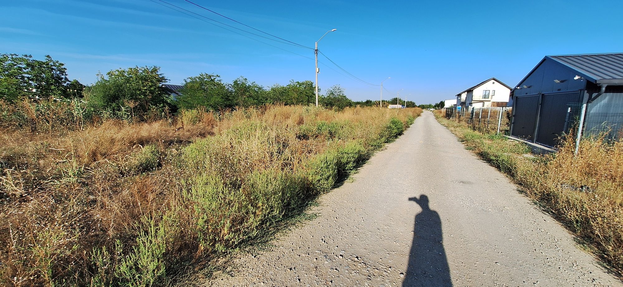Ambrozie in Strada Ceair 36C, Tunari, Comuna Tunari, Județul Ilfov - 20250905_175246.jpg