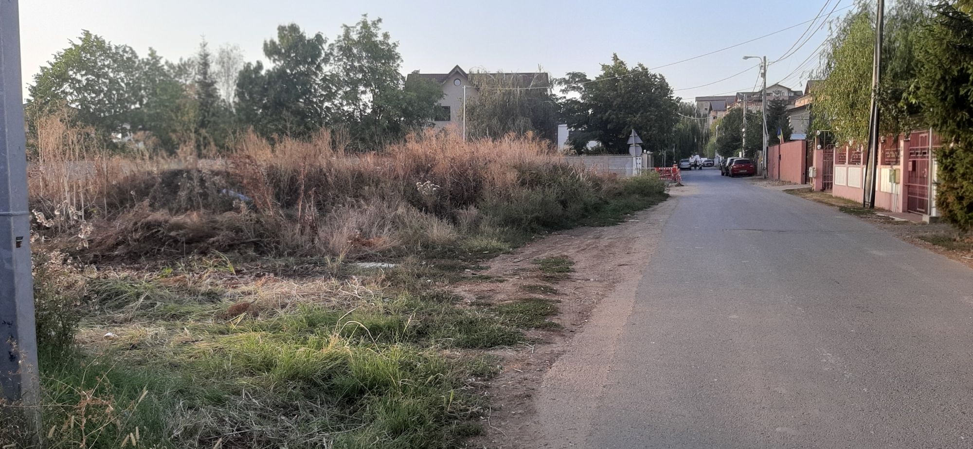 Ambrozie in Strada Verii 27, Bragadiru, Oraş Bragadiru, Județul Ilfov - 20230922_183827.jpg