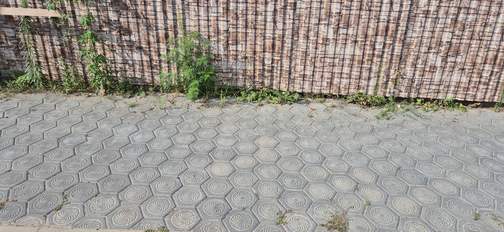 Ambrozie in Strada Mitropolit Varlaam 51, Iași, Municipiu Iași, Județul Iași - 10048.jpg