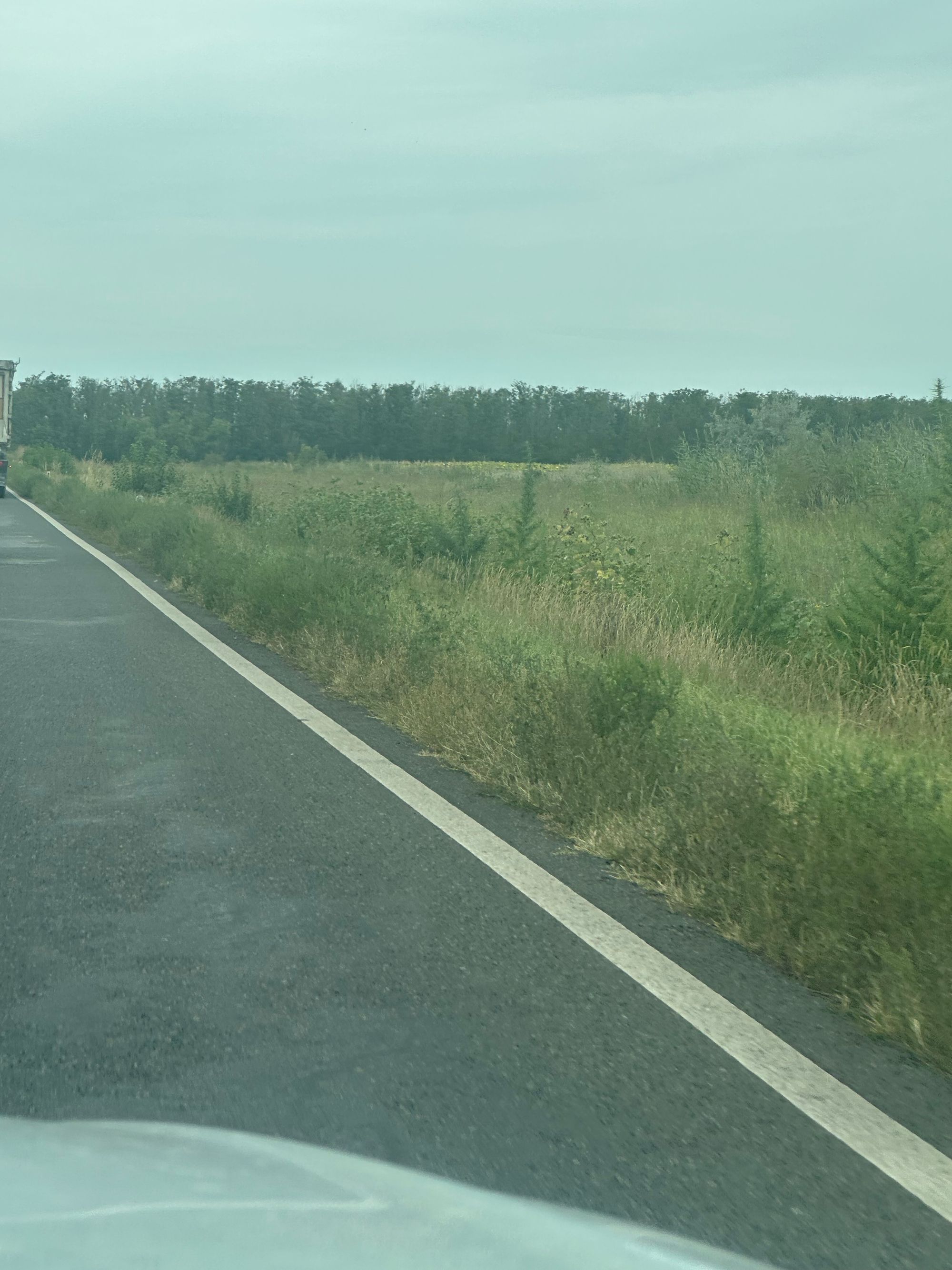Ambrozie in DN21, Județul Brăila