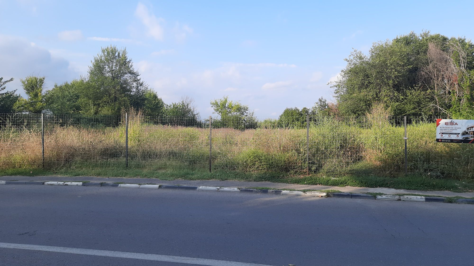Ambrozie in Strada Gospodari 57, Roșu, Comuna Chiajna, Județul Ilfov - 17893106680632009219870804079682.jpg