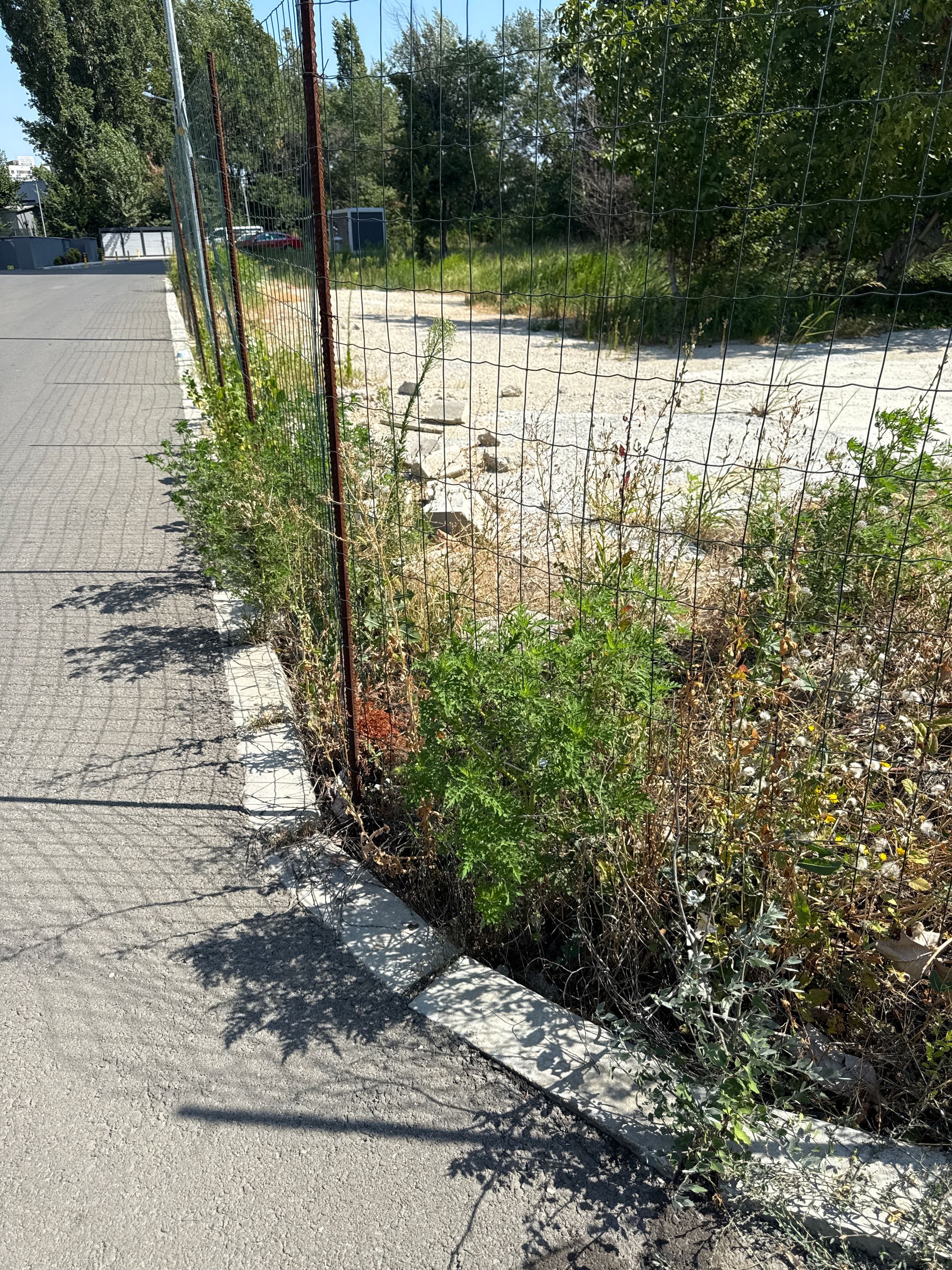Ambrozie in Strada Glădiței 17, București, Municipiul București - image.jpg