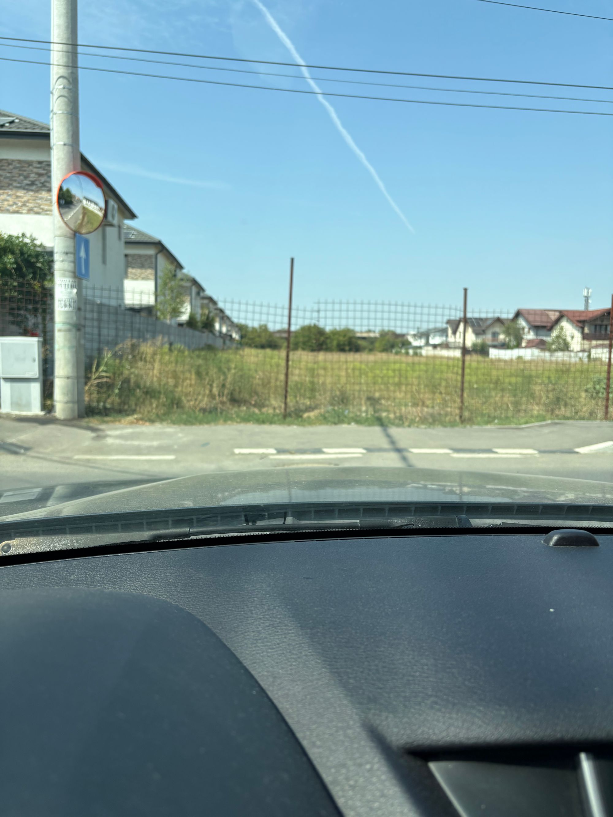 Ambrozie in Strada Luceafărului 38, Chiajna, Comuna Chiajna, Județul Ilfov - IMG_1189.jpeg