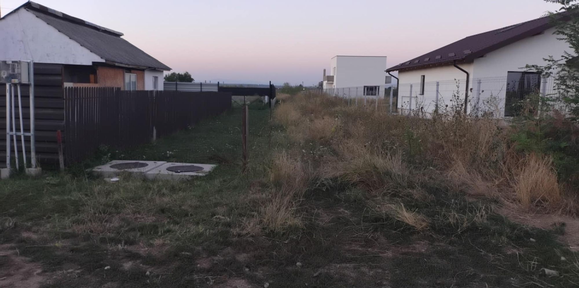 Ambrozie in Nucilor 10, Bradu, Comuna Bradu, Județul Argeș - inbound5804264440572622538.png