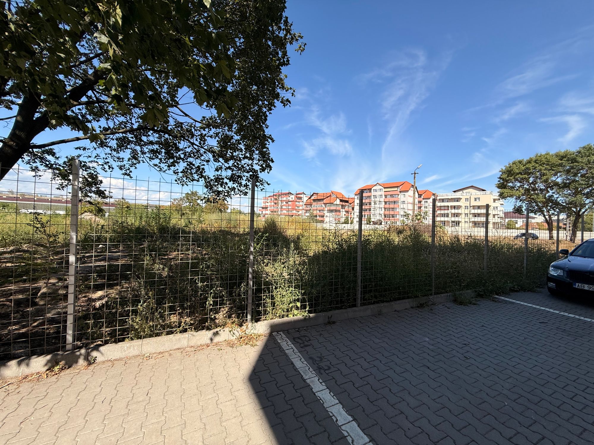 Ambrozie in Strada Vasile Alecsandri 36A, Alba Iulia, Municipiu Alba Iulia, Județul Alba