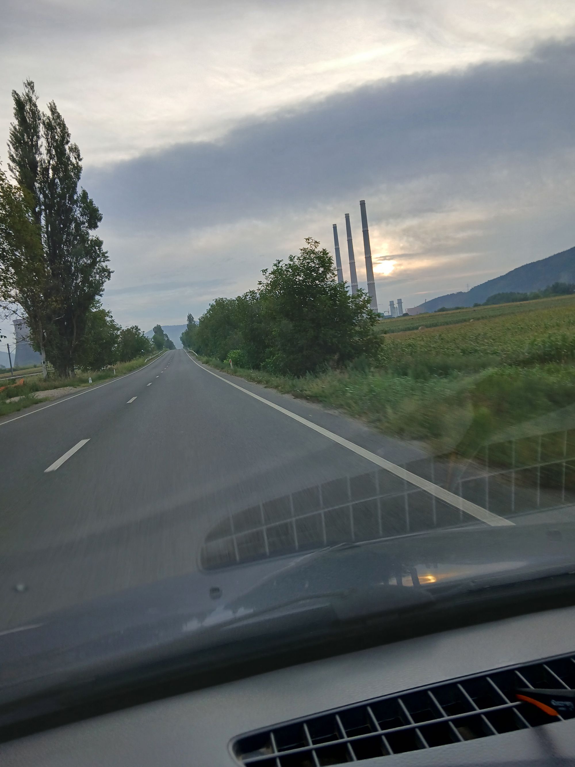 Ambrozie in Vețel, Comuna Vețel, Județul Hunedoara - 20250822_071146.jpg