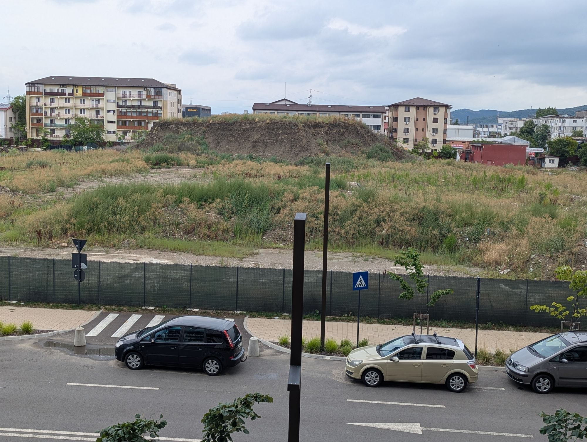 Ambrozie in Strada Atelierului 12, Iași, Municipiu Iaşi, Județul Iași - PXL_20250729_105719194.jpg