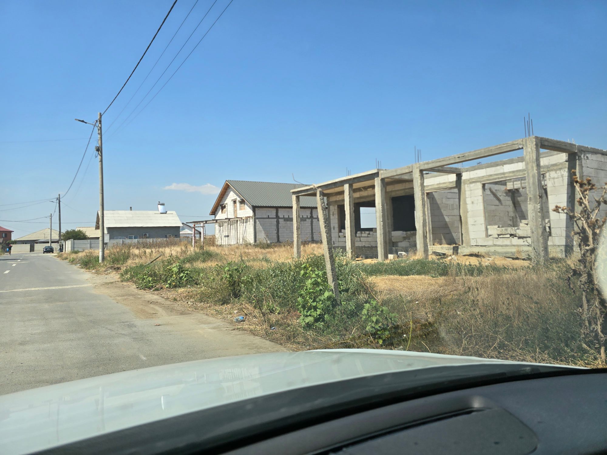 Ambrozie in Str. Castanului nr 8, Cuza Vodă, Comuna Cuza Vodă, Județul Constanța - inbound2139913824475032849.jpg