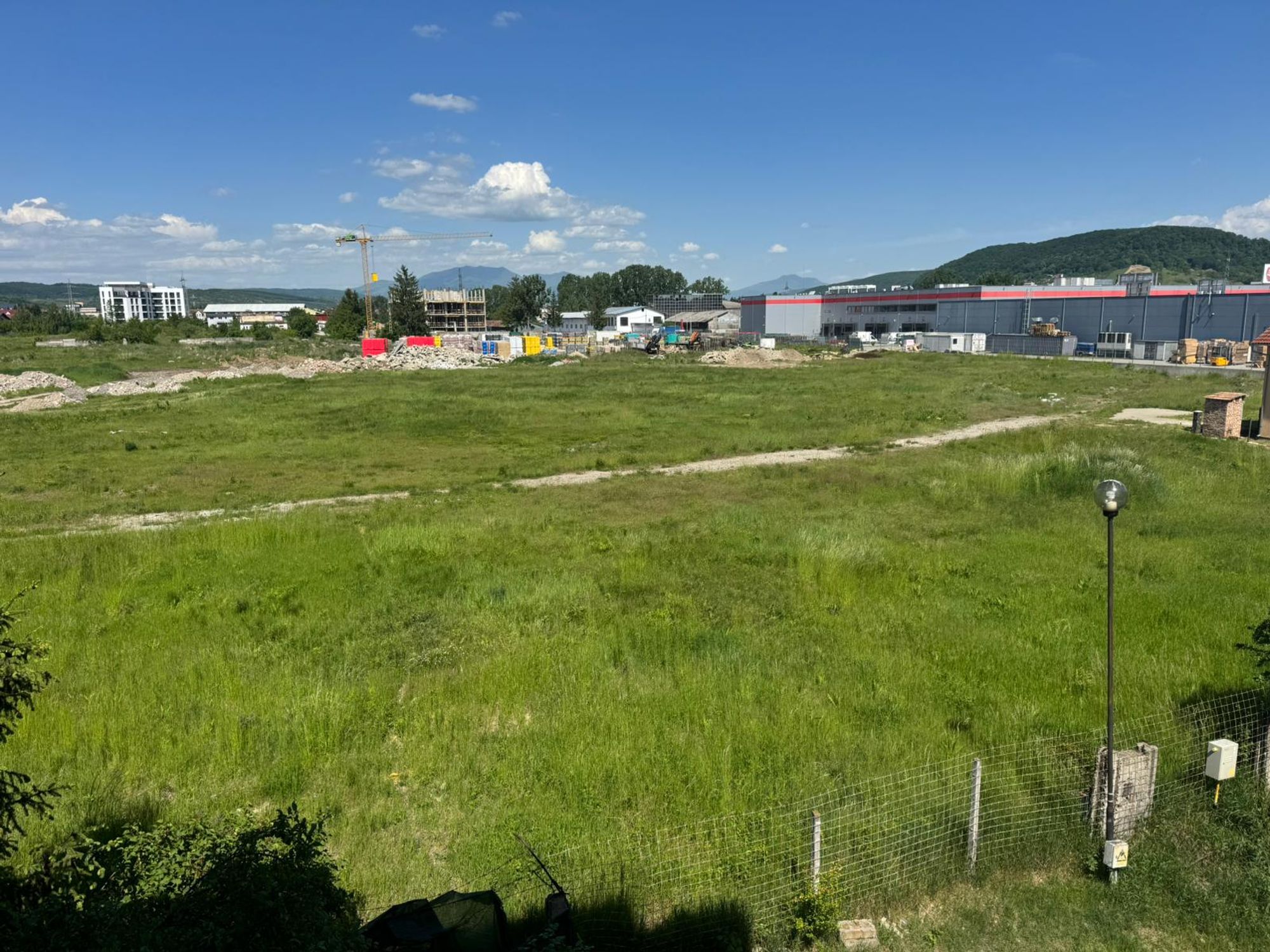 Ambrozie in Strada ALEEA FANATNELE , Bistrița, Municipiu Bistrița, Județul Bistrița-Năsăud - WhatsApp Image 2026-05-23 at 15.48.06 (1).jpeg