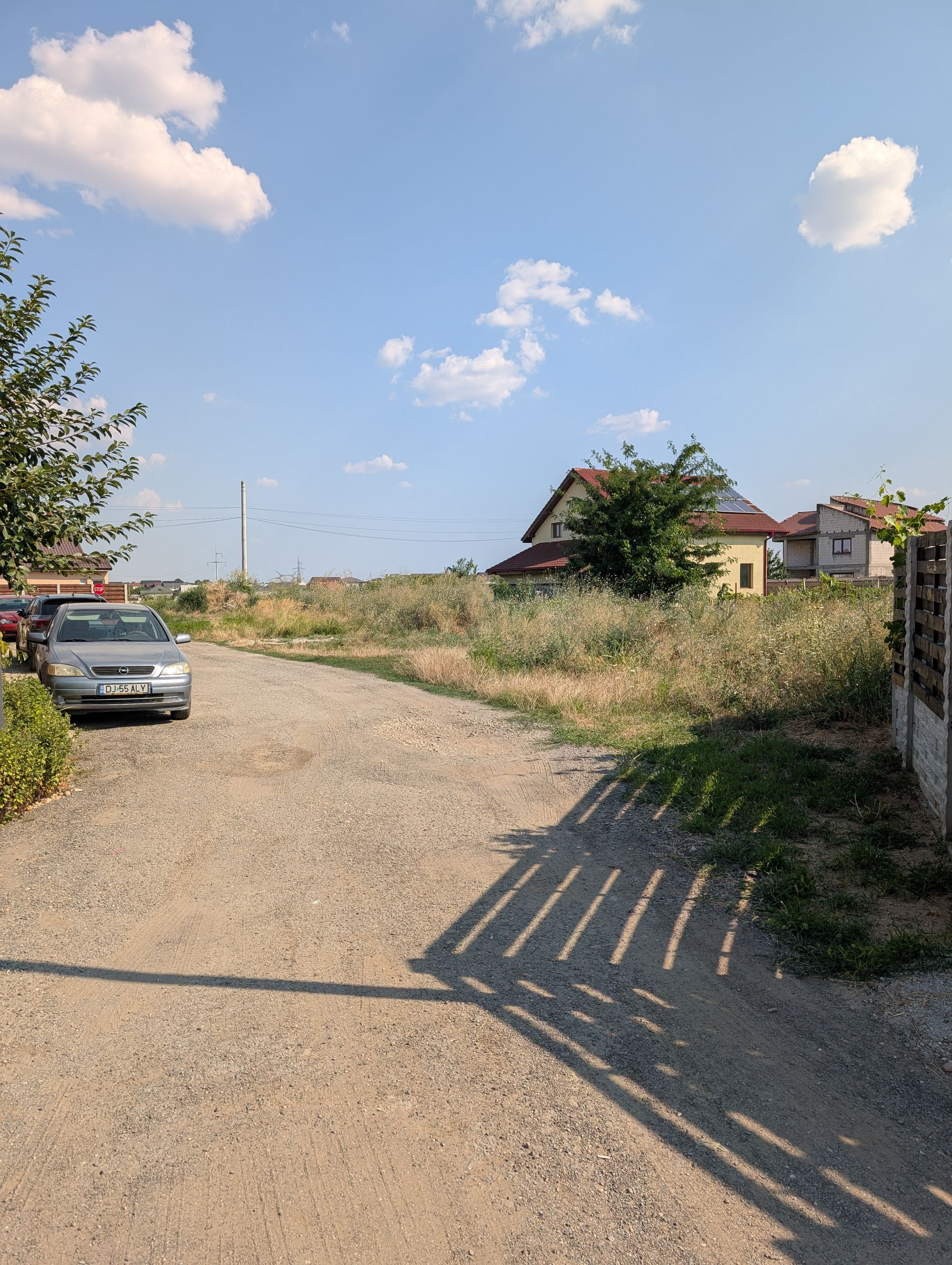 Ambrozie in Aleea 2 Arțarului 6A, Preajba, Comuna Malu Mare, Județul Dolj - 65779.jpg
