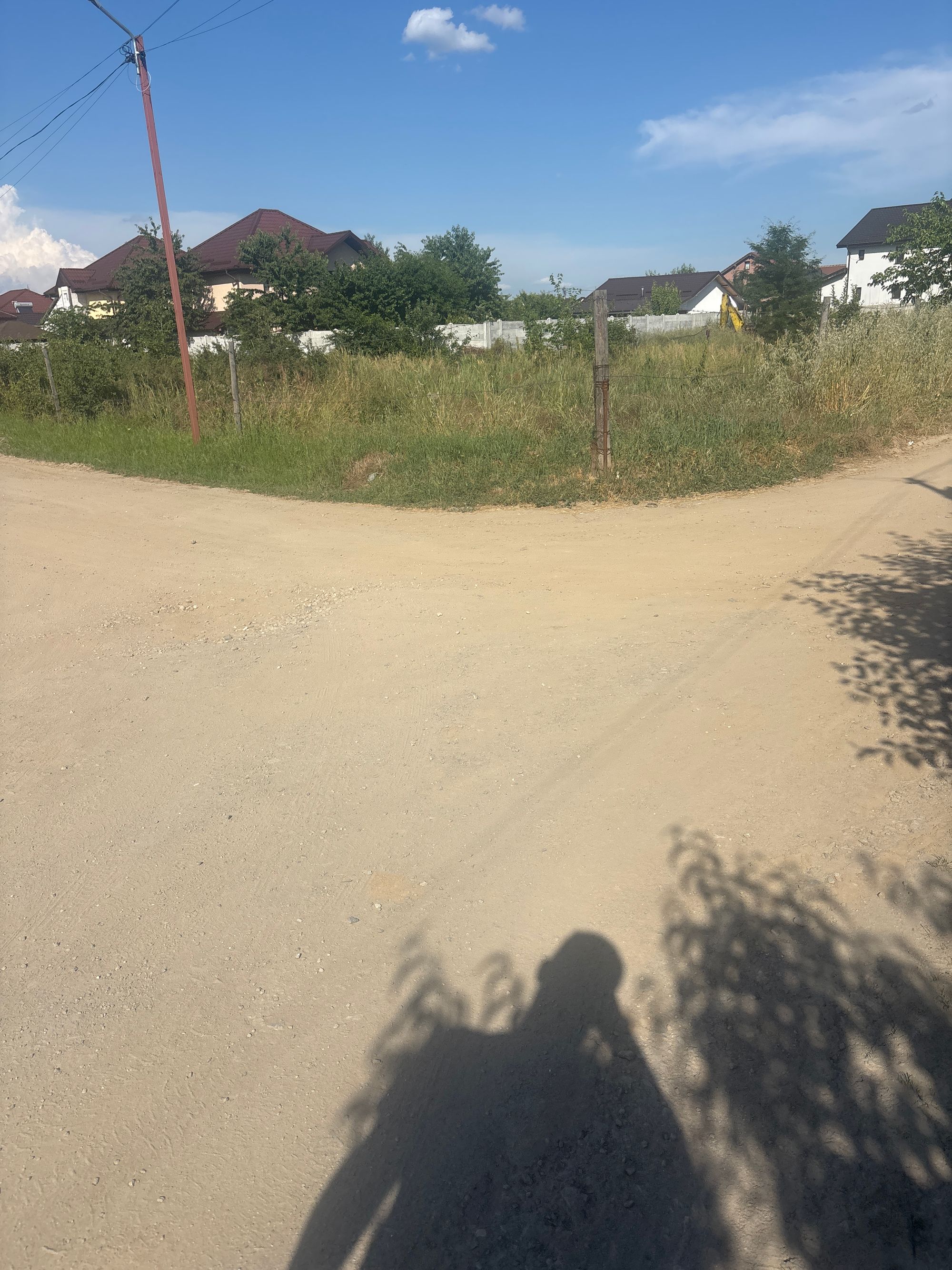 Ambrozie in Aleea 5 Zambilelor 15, Craiova, Comuna Malu Mare, Județul Dolj