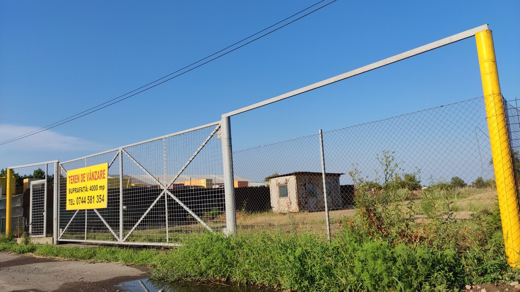 Ambrozie in Costi, Vanatori, Galați - IMG_20230723_183530.jpg