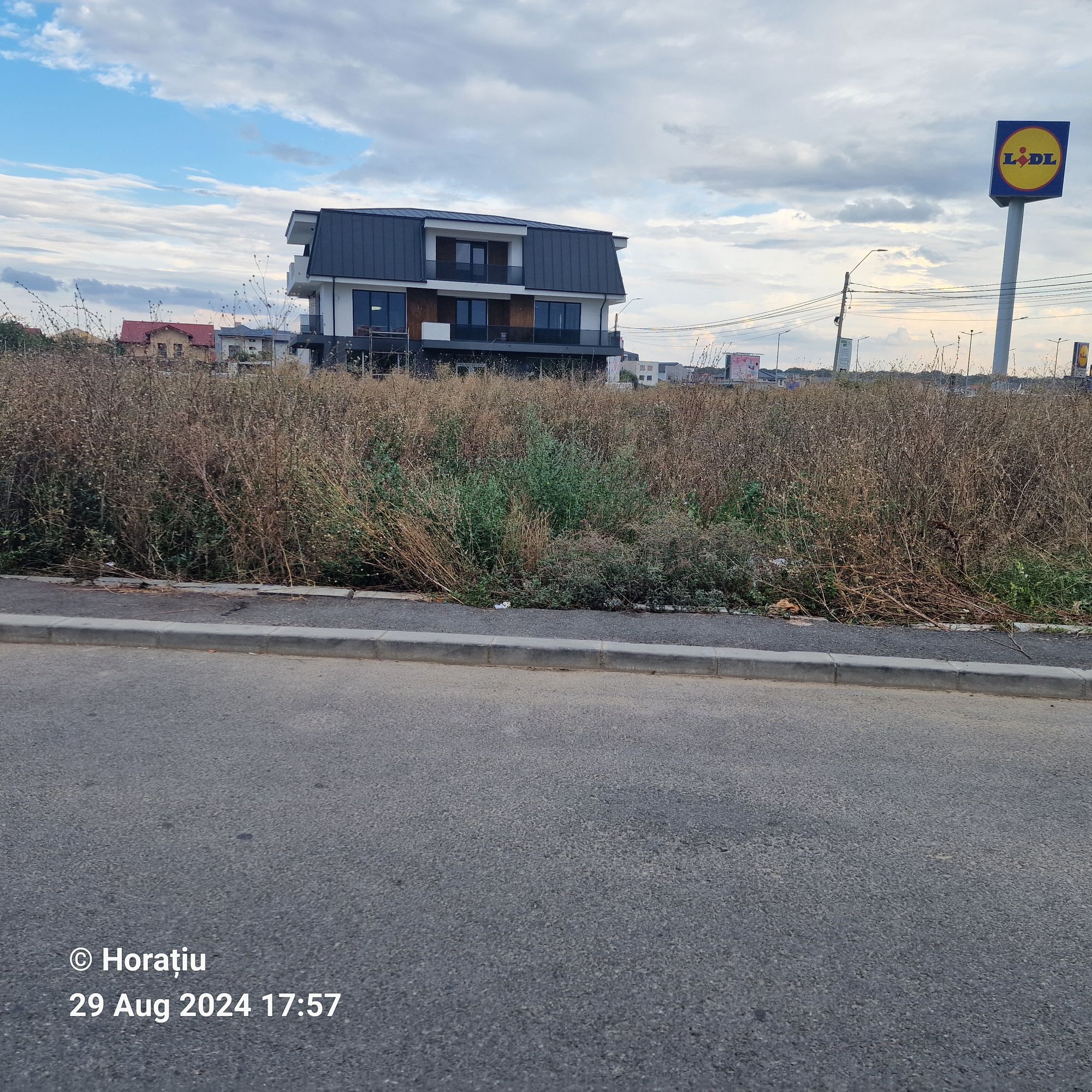 Ambrozie in Strada Carpatilor 3a, Otopeni, Oraş Otopeni, Județul Ilfov - 20240829_175729.jpg