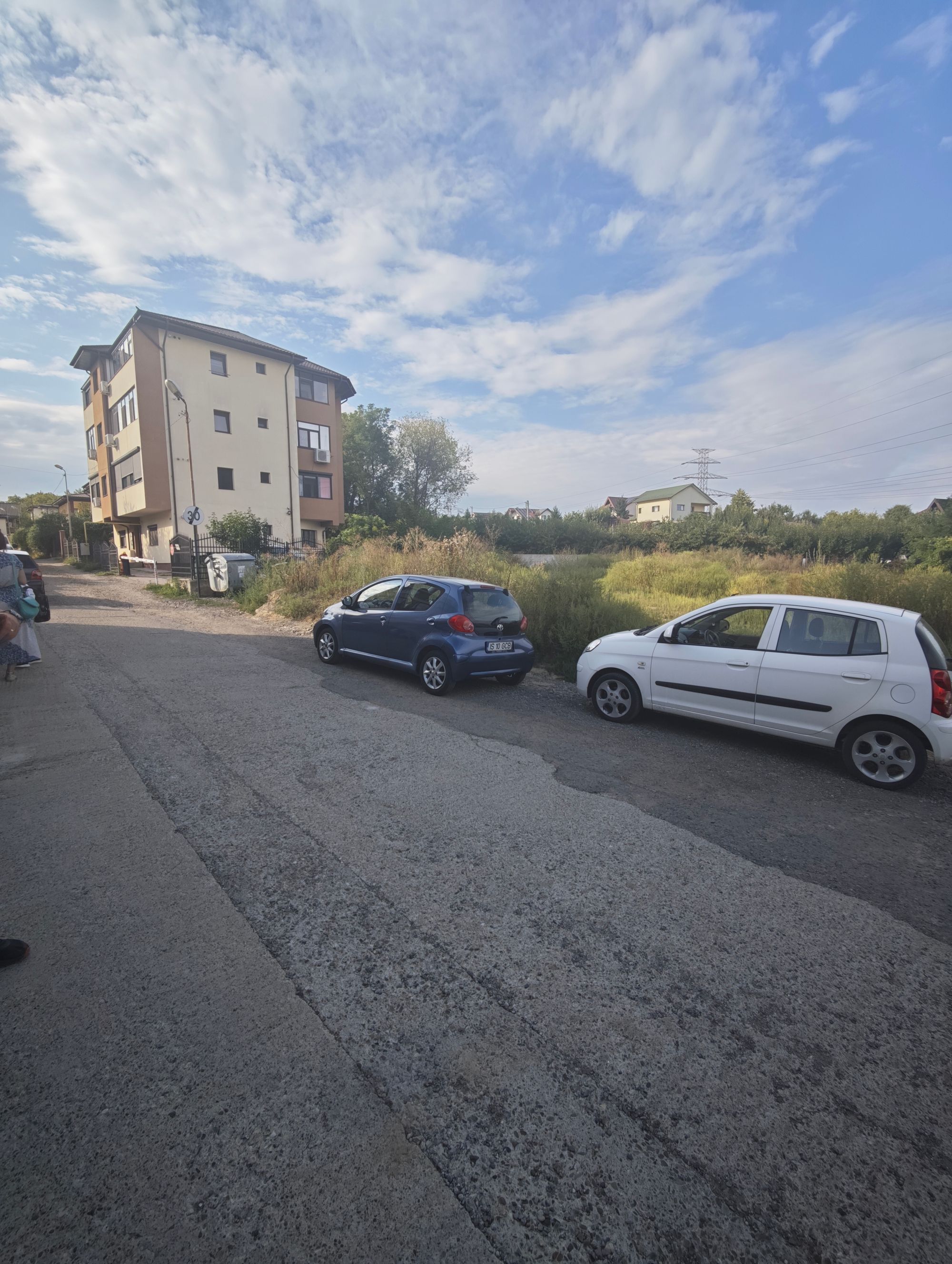 Ambrozie in Strada Profesor Emil Honoriu 3, Iași, Municipiu Iași, Județul Iași