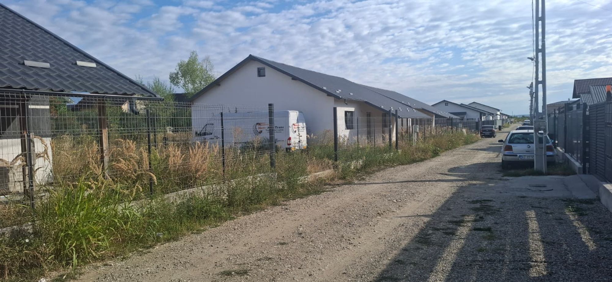Ambrozie in DJ659 309a, Bradu, Comuna Bradu, Județul Argeș
