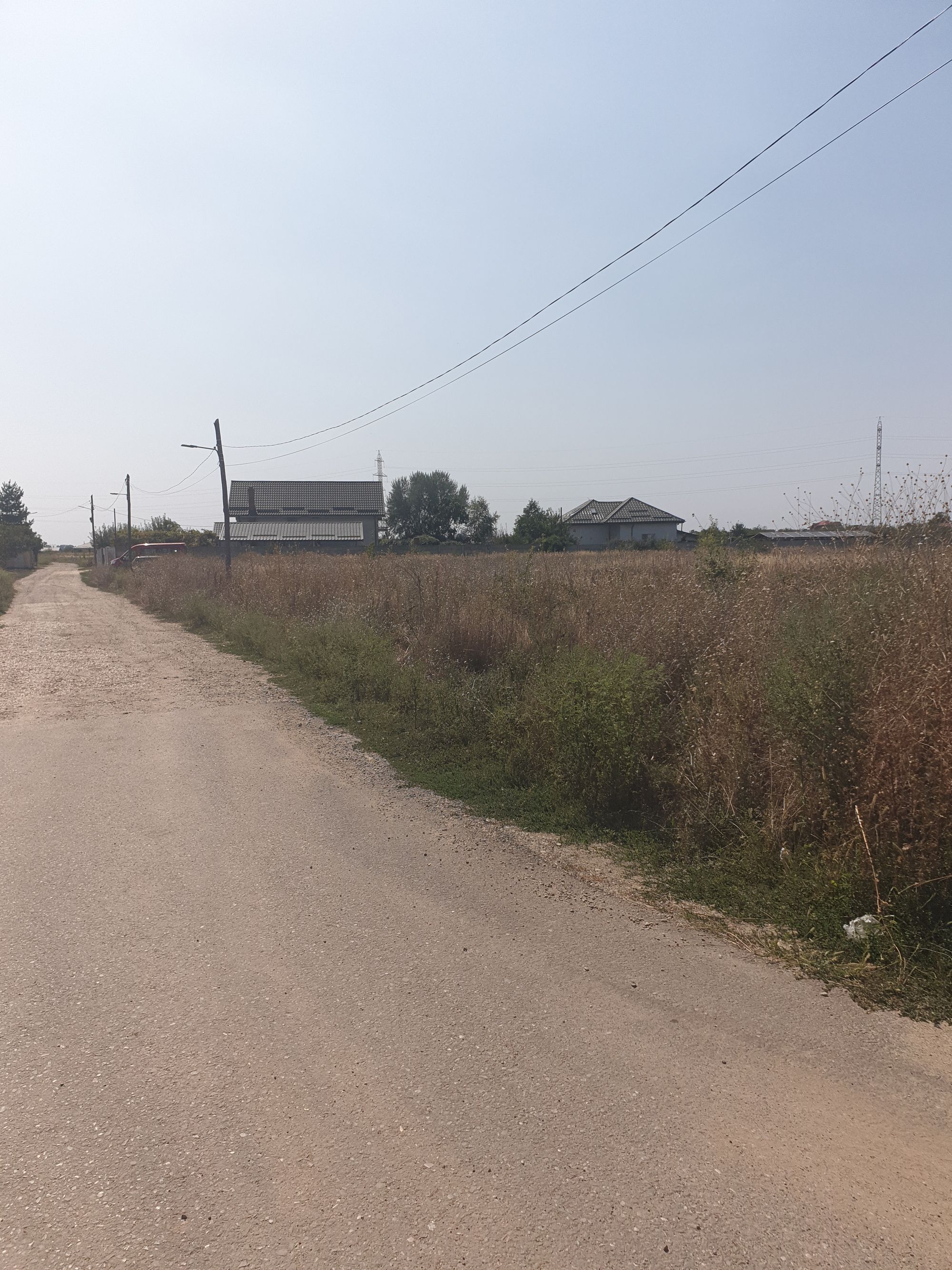 Ambrozie marcată de Madalin Alexandru în Strada Primăverii 20, Săbăreni, Comuna Săbăreni, Județul Giurgiu