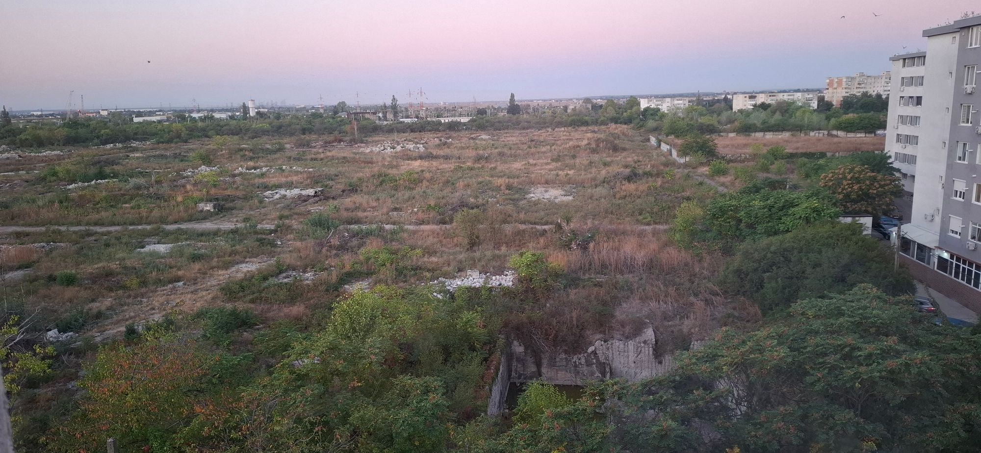 Ambrozie in Strada Sondelor 62, Ploiești, Municipiu Ploieşti, Județul Prahova - 20250924_065858.jpg