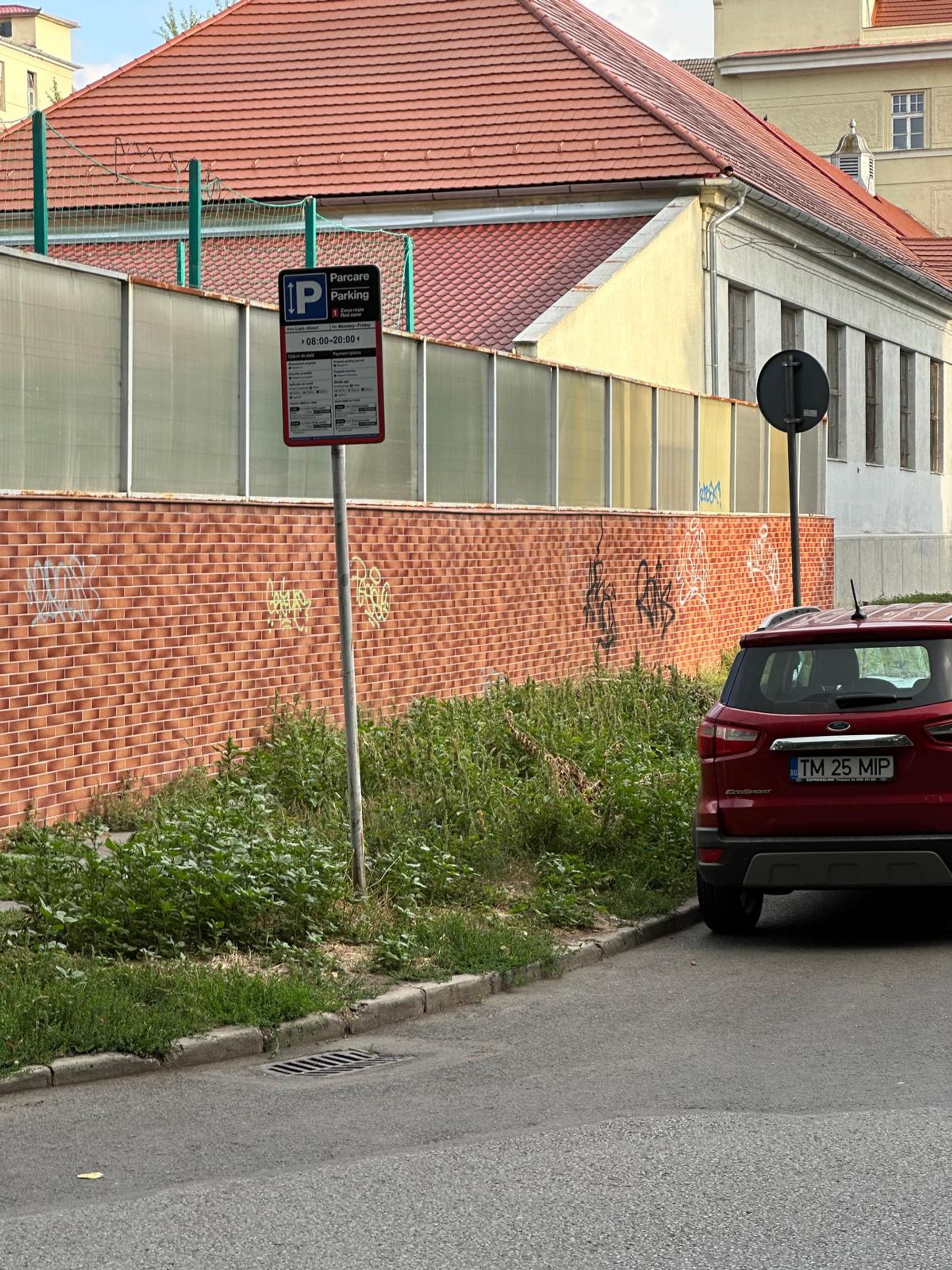 Ambrozie in Strada Heinrich Heine 5, Timișoara, Municipiu Timişoara, Județul Timiș - WhatsApp Image 2025-09-16 at 11.22.01_474cec1b.jpg