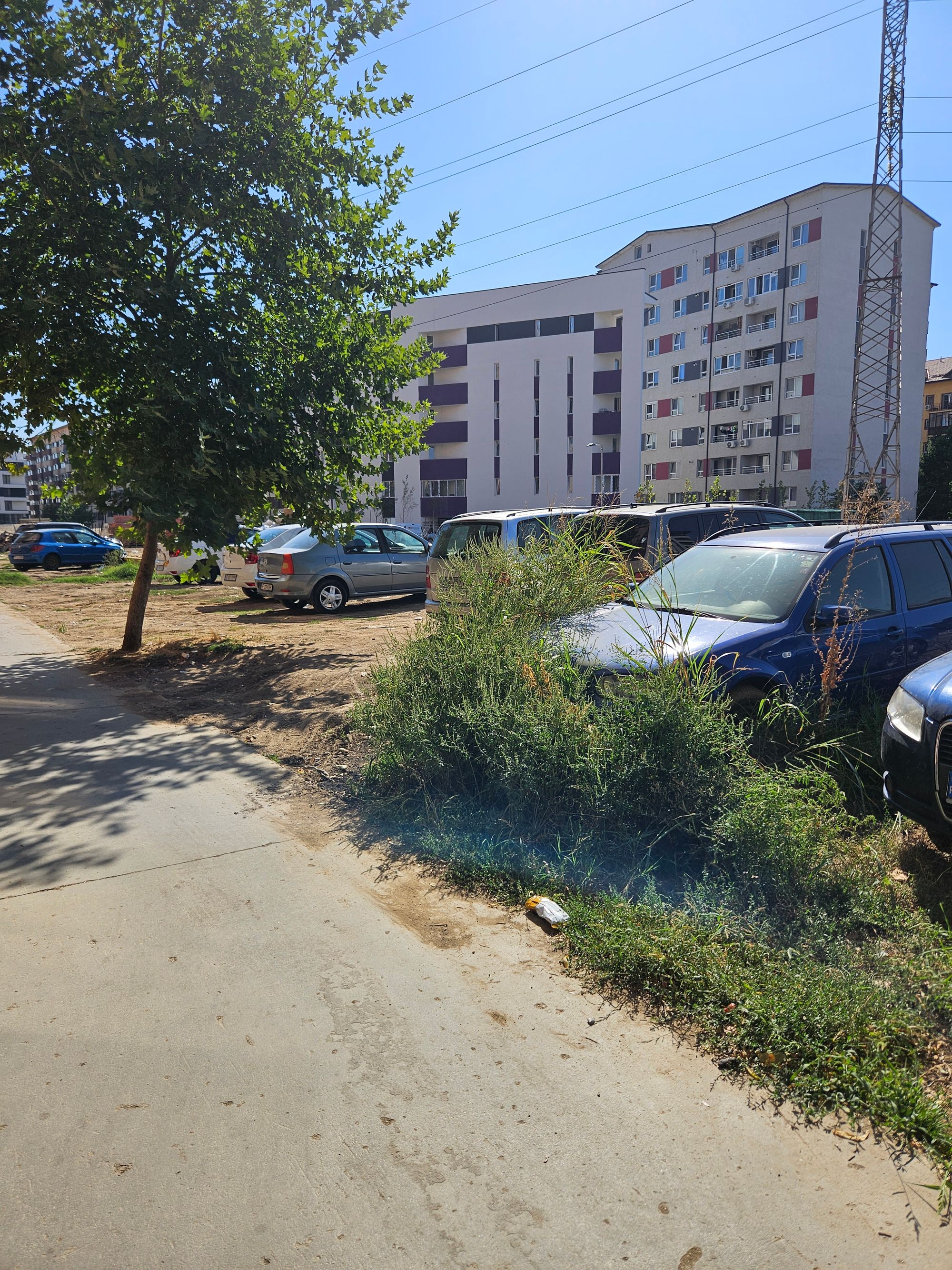 Ambrozie in Strada Tineretului 24, Roșu, Comuna Chiajna, Județul Ilfov - 20250908_105500.jpg