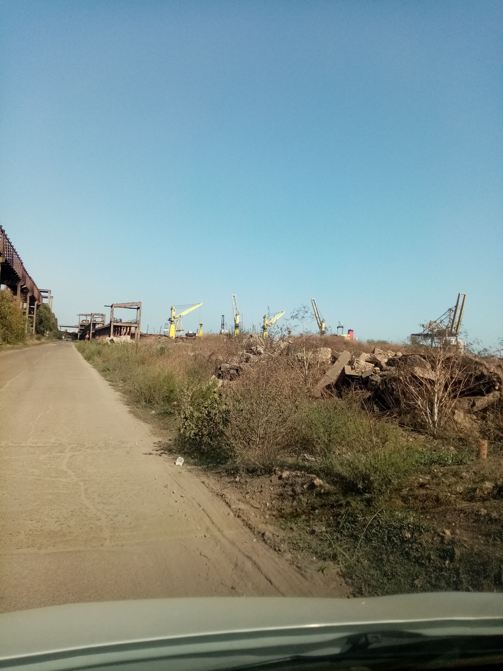 Ambrozie in Constanța, Municipiul Constanța, Județul Constanța - IMG_20230913_110403.jpg