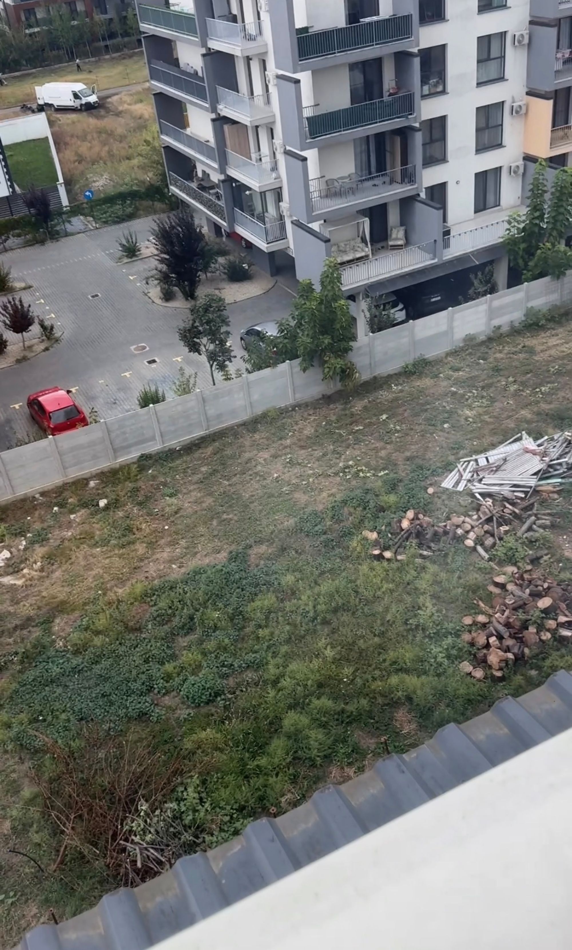 Ambrozie in Drumul Gura Caliței 72d, București, Municipiul București