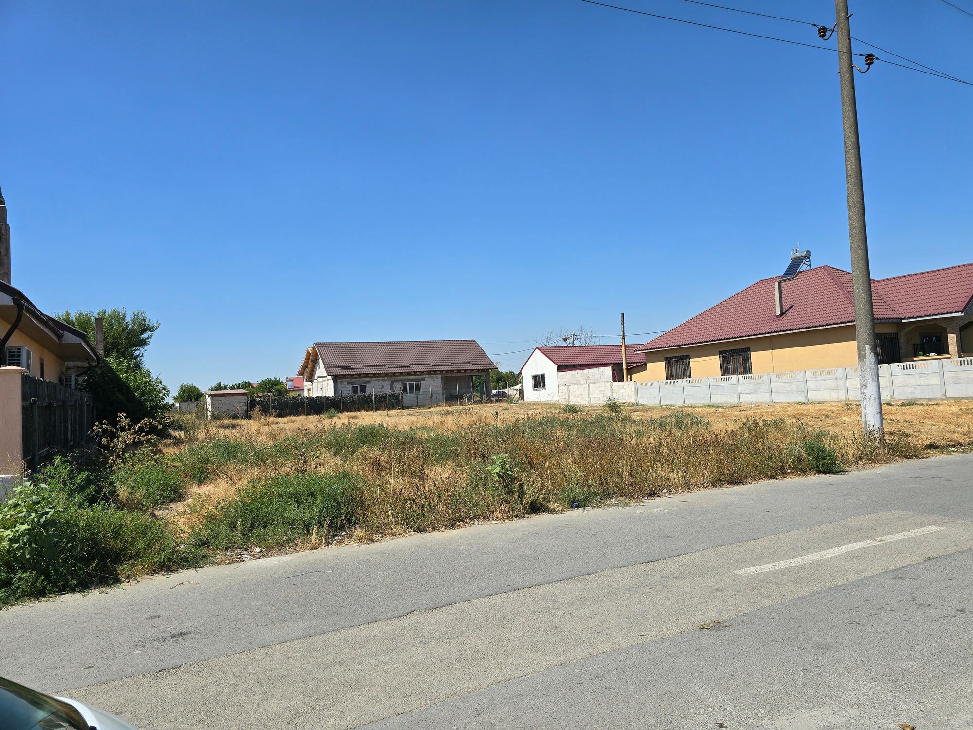 Ambrozie in Str. Castanului nr 8, Cuza Vodă, Comuna Cuza Vodă, Județul Constanța - inbound8995226301709114988.jpg