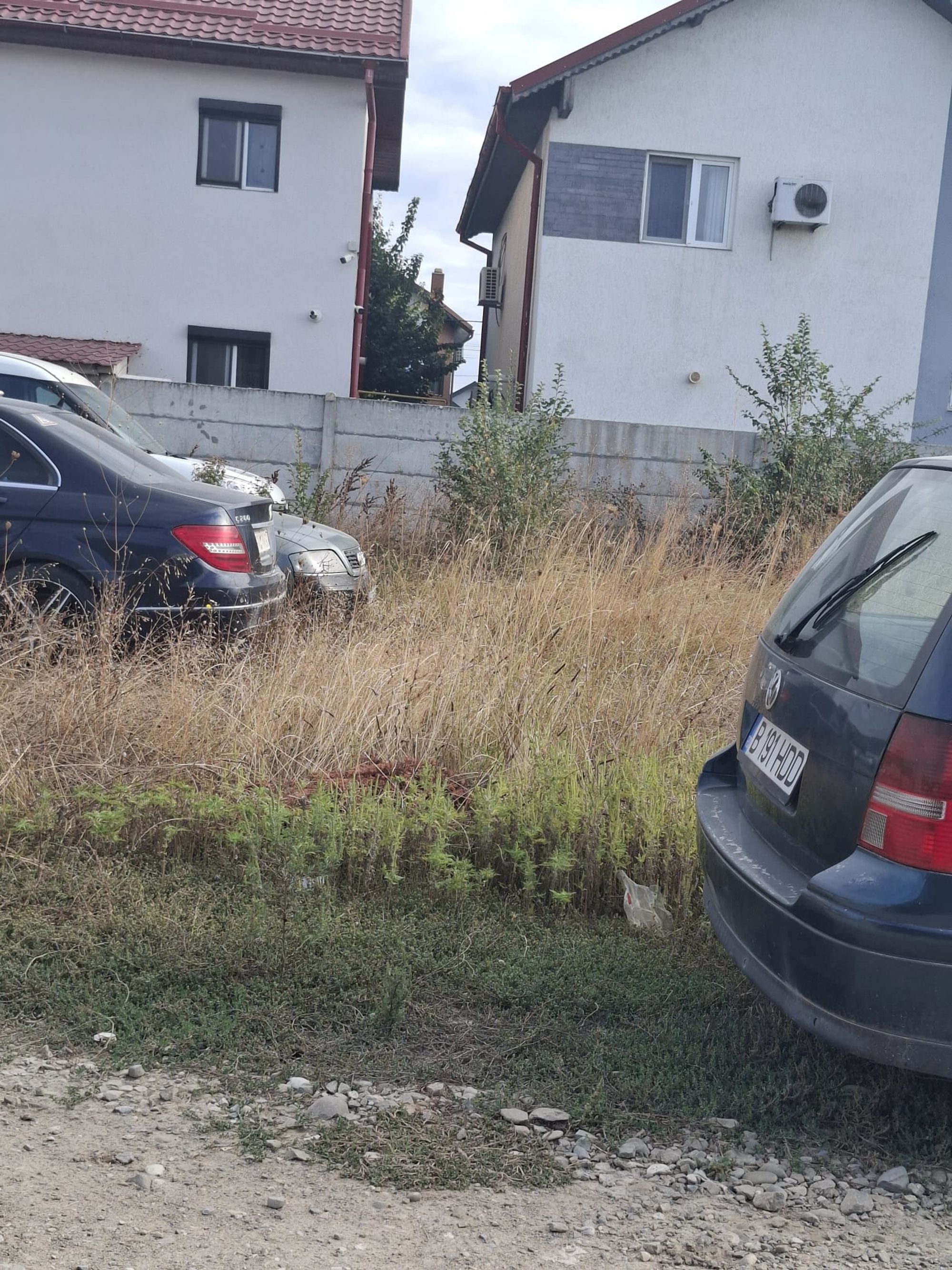 Ambrozie in Strada Lămâiței 077145, Pantelimon, Oraş Pantelimon, Județul Ilfov - IMG-20250920-WA0017.jpg