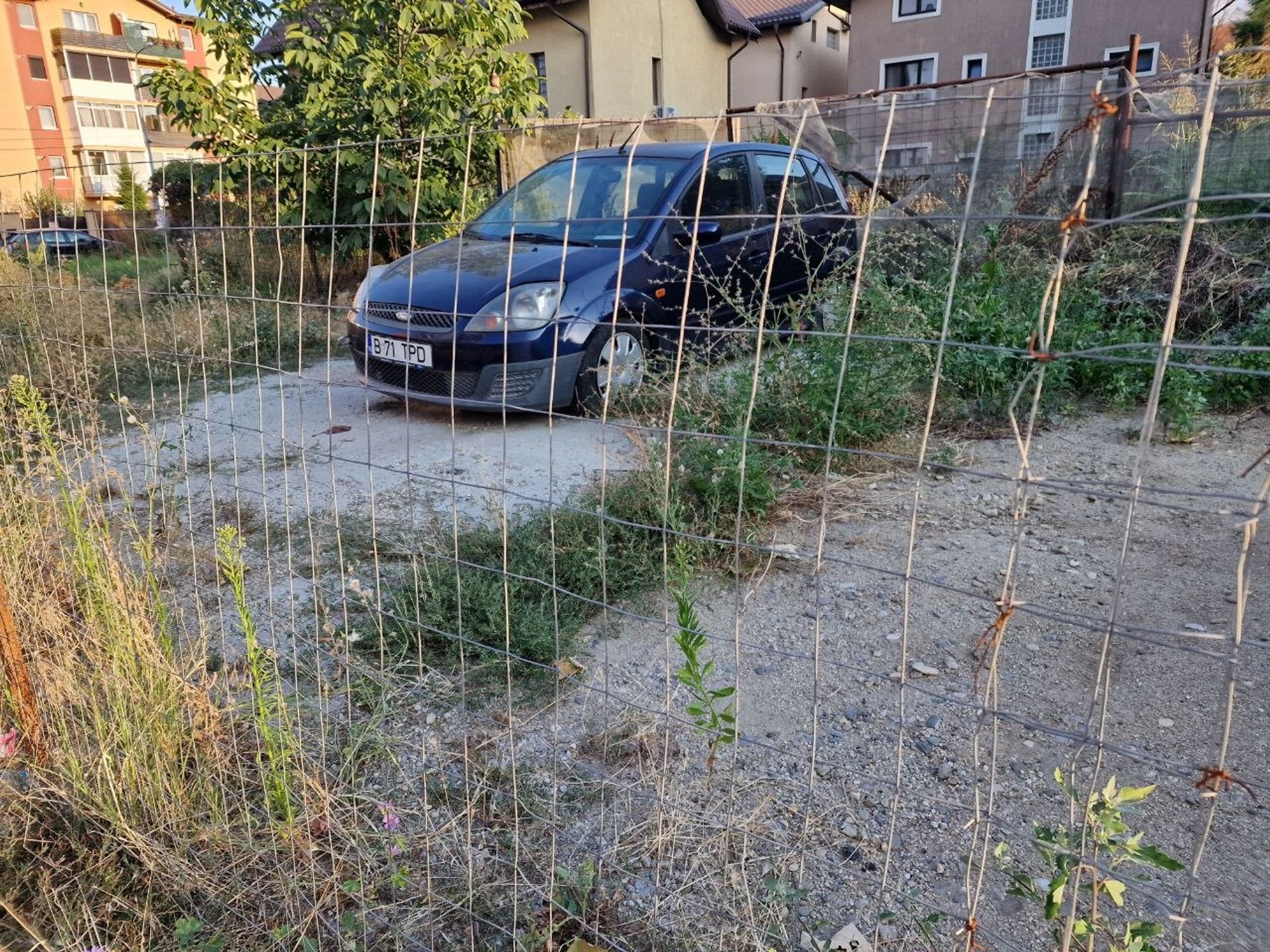 Ambrozie in Strada Poștașului 39a, București, Municipiul București - 6044240083788959641.jpg