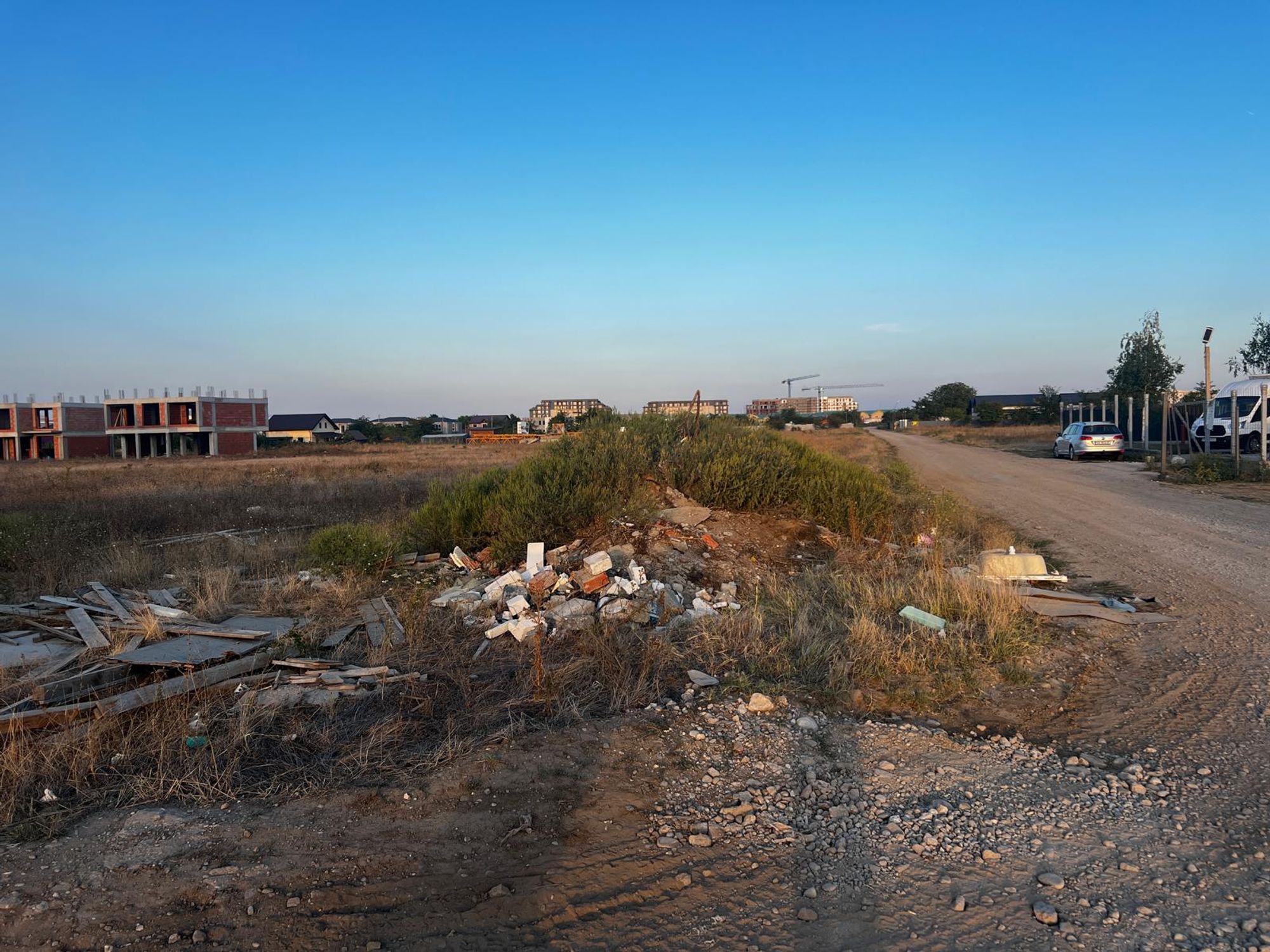 Ambrozie in Strada Teiului 57, Ilfov, Comuna Tunari, Județul Ilfov - WhatsApp Image 2025-09-08 at 19.01.22 (3).jpeg