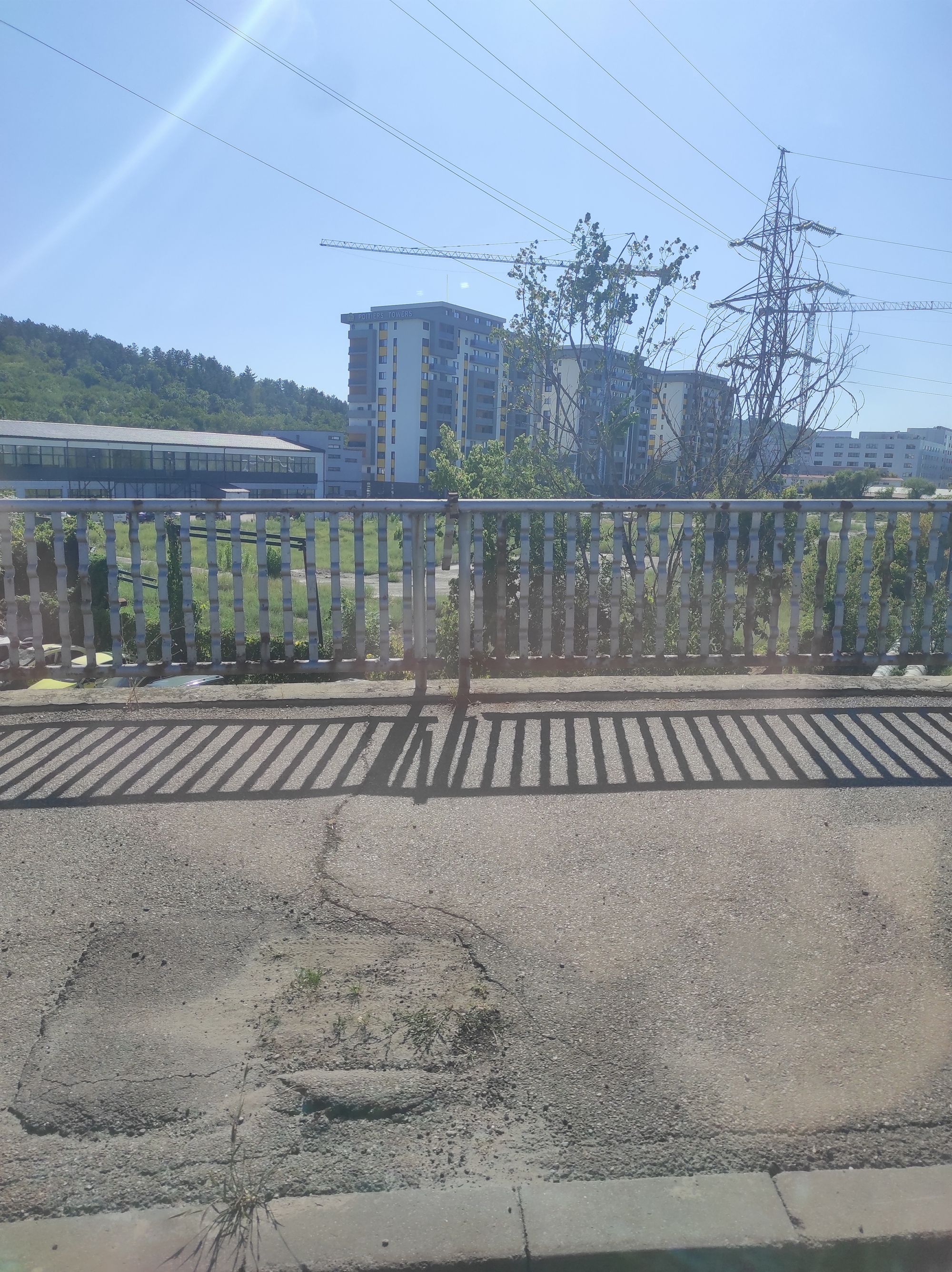 Ambrozie in Bulevardul Poitiers 7, Iași, Municipiu Iaşi, Județul Iași - IMG_20250829_154212.jpg