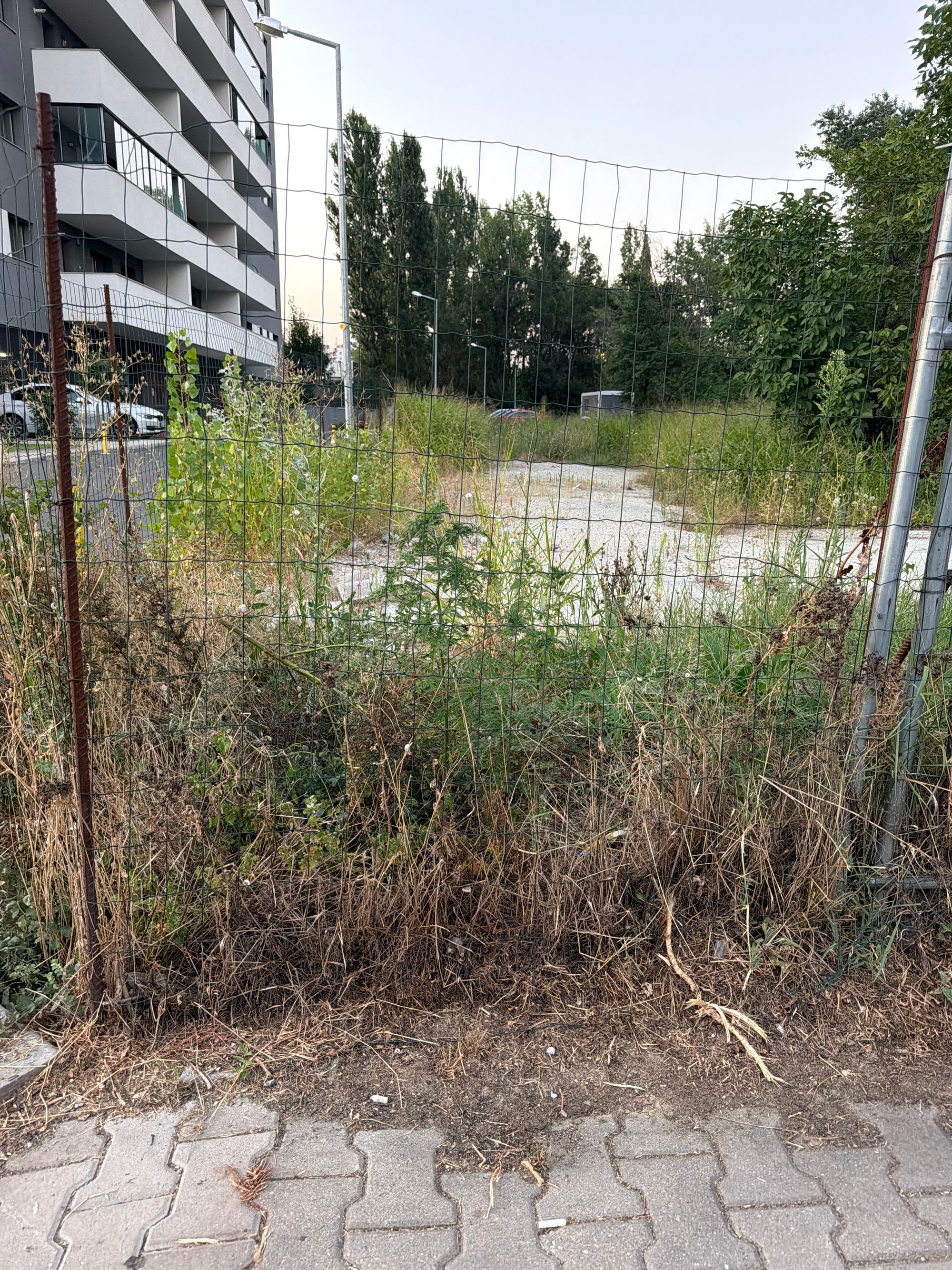Ambrozie in Strada Glădiței 17, București, Municipiul București